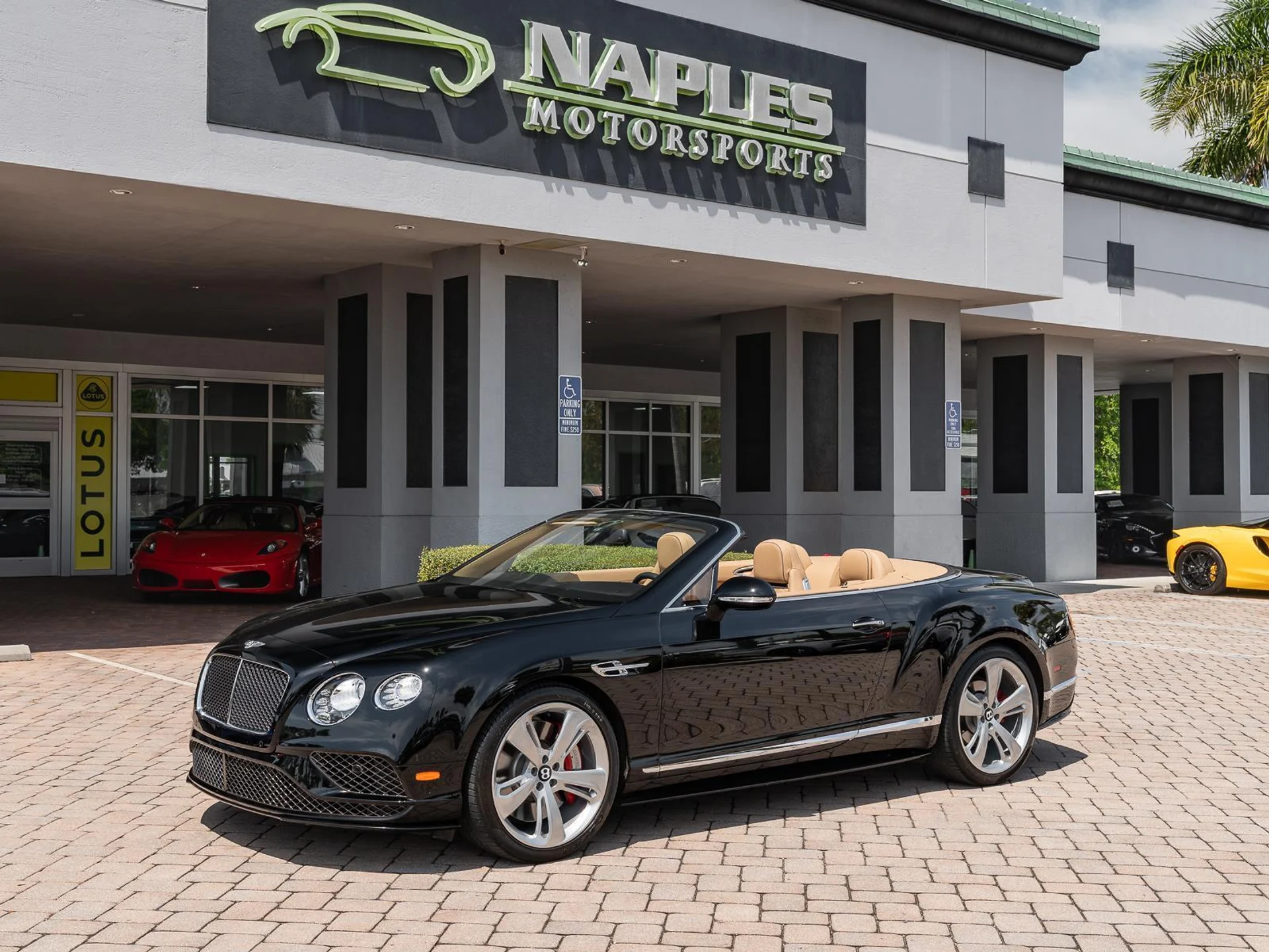 mph018_2751624923_Used_2016_Bentley_Continental_GT_Speed_1774476145_cc28f5fd89