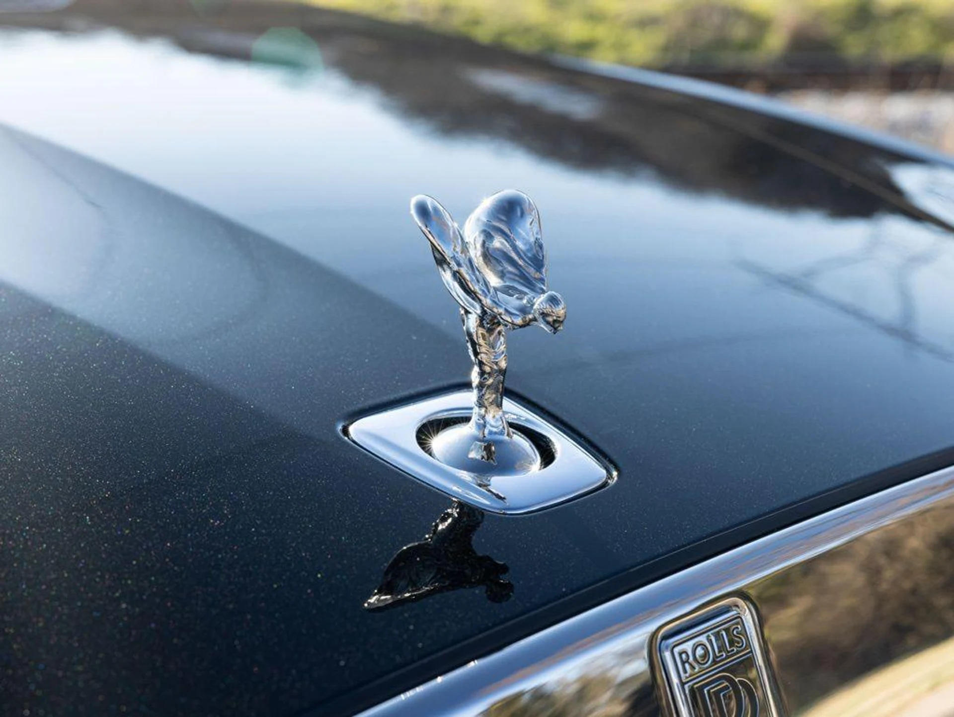 mph018_2789110516_499801363_69a752b9cb60012ee7110d04_c2ed8d5c19