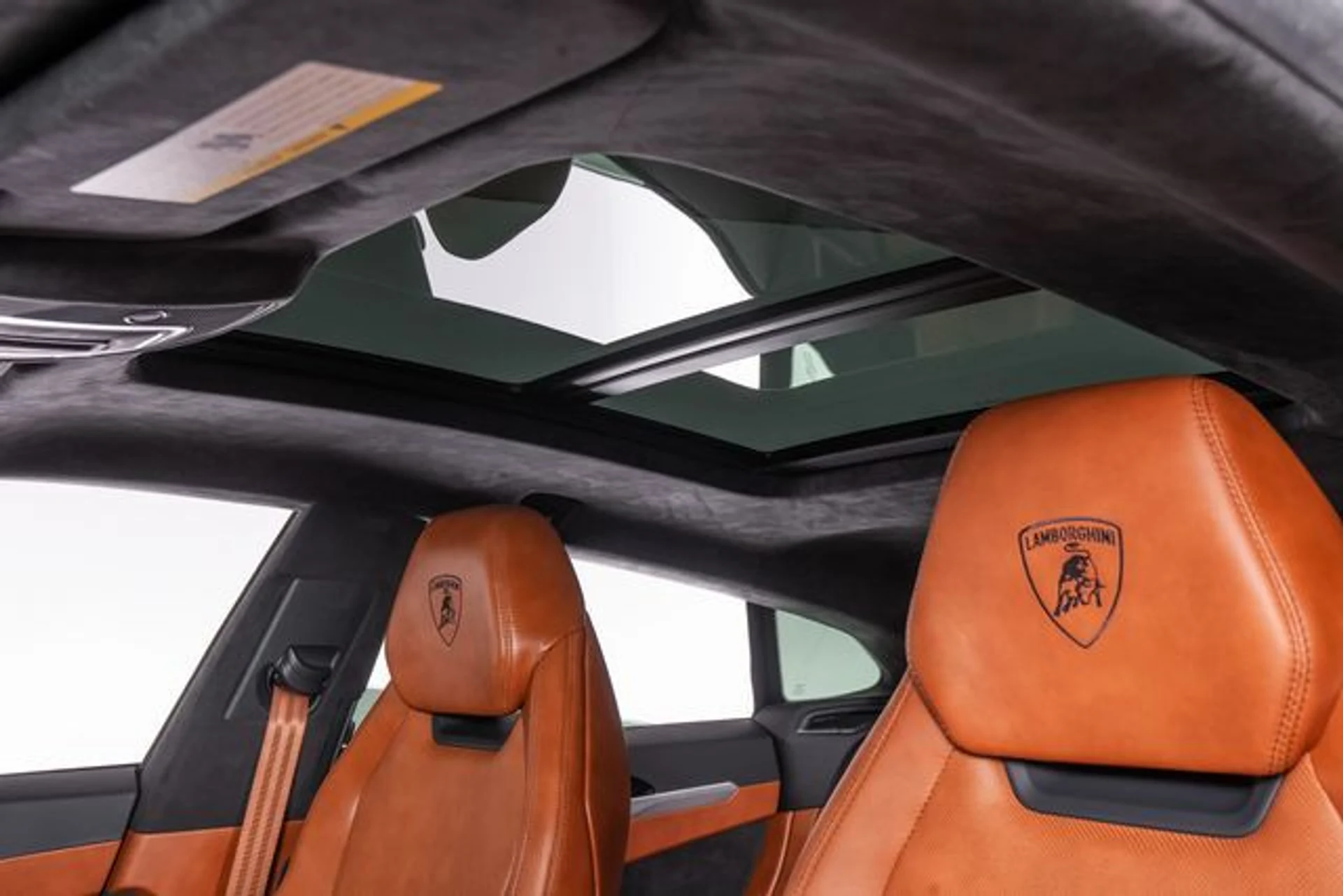 mph018_2847941228_25c960e2919ef5cf287bdd043e34aebcx_6eabc9281d