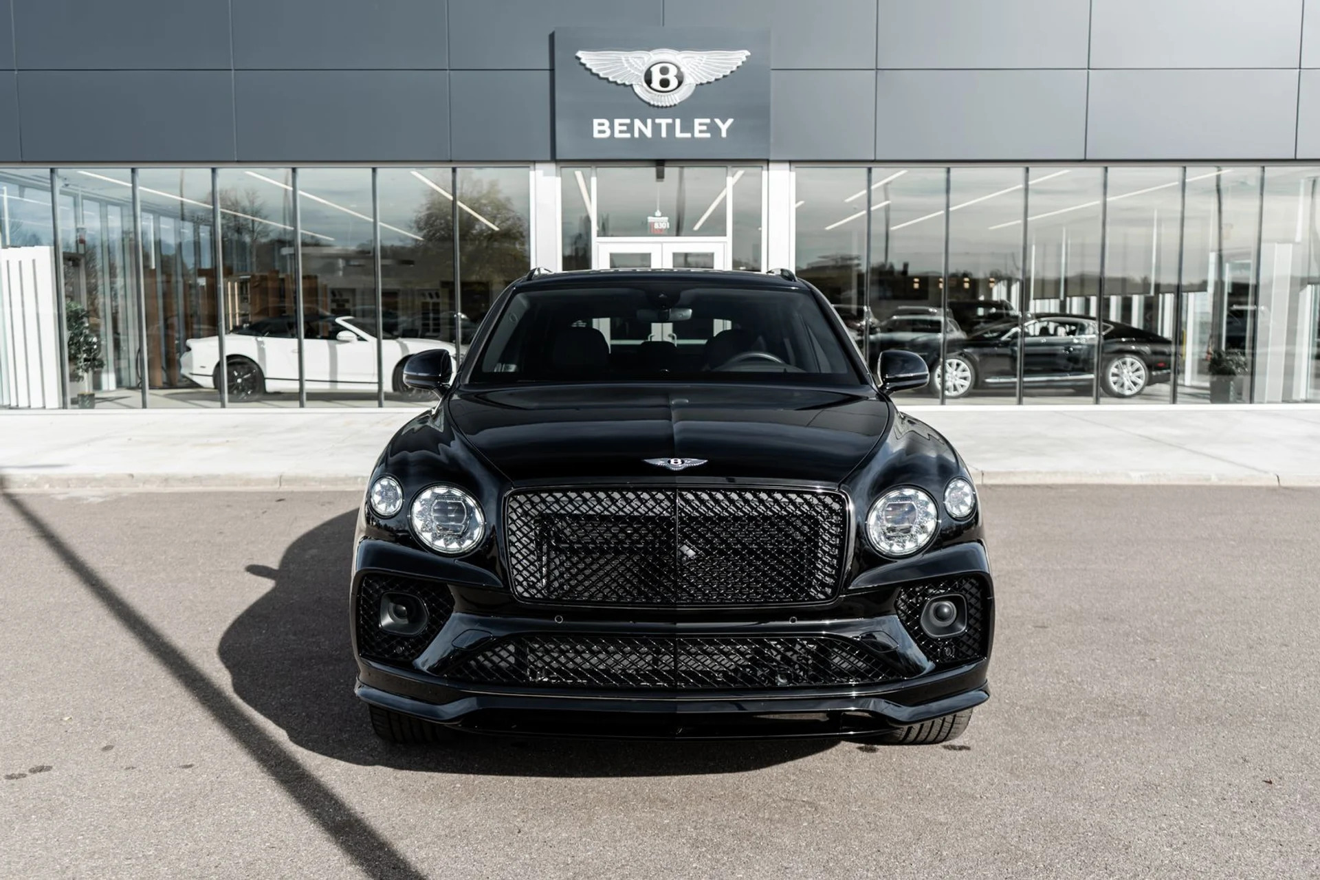 mph018_2968197535_1662f1e6_d79a_4ae5_9f35_536af5439840_b5b92a3e43