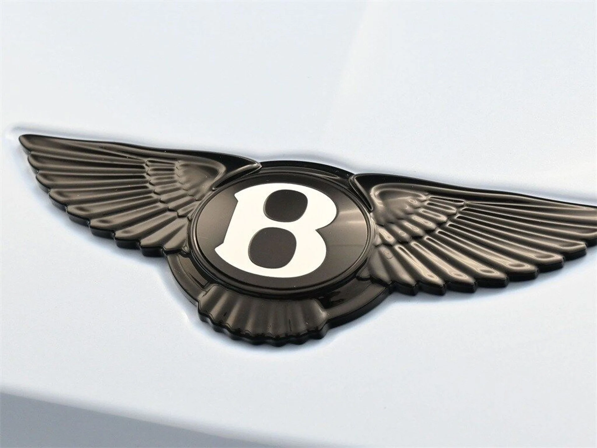 mph018_2992188049_0e18d2af83e975e7919cca9846d3de1ax_811fda7c11