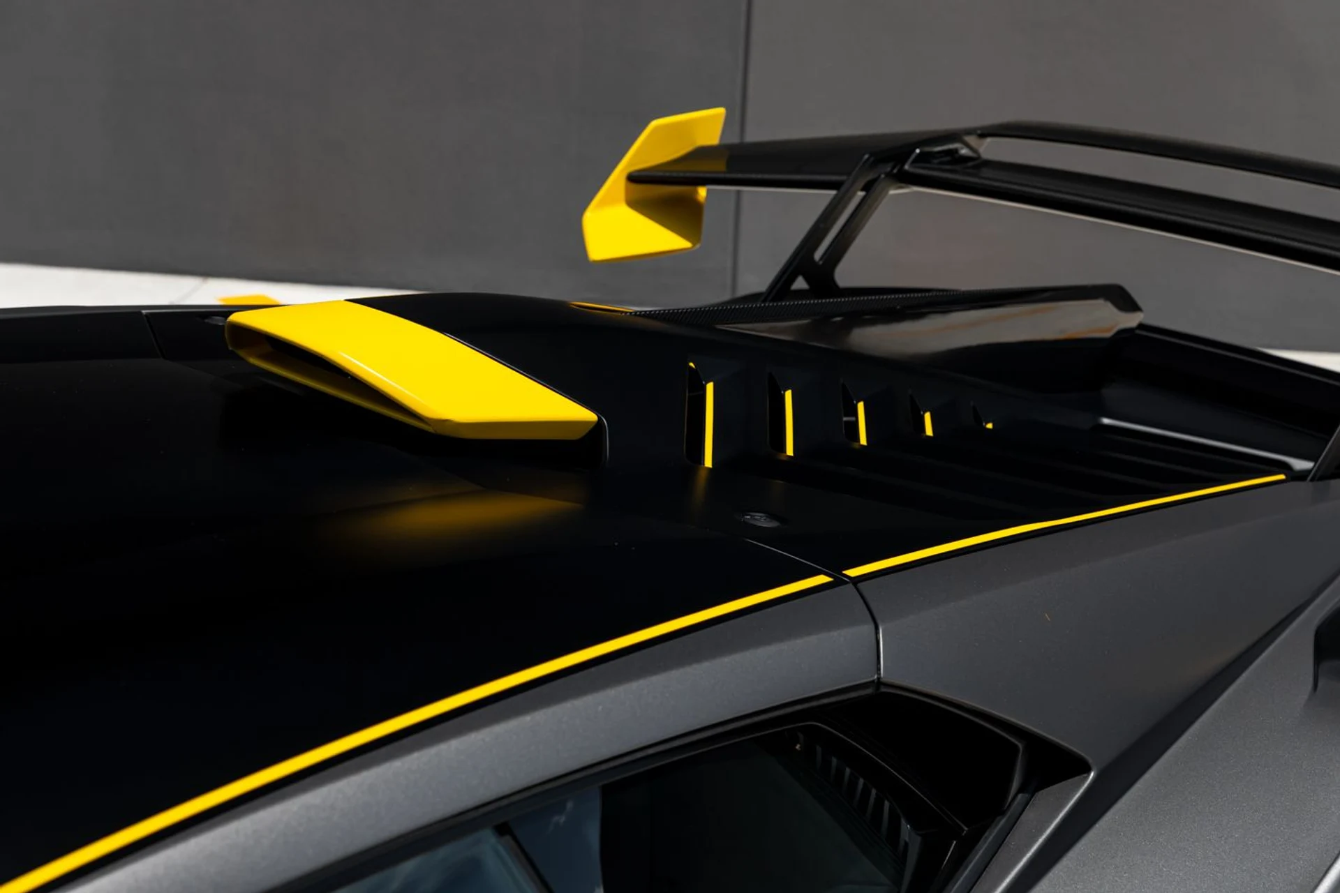 mph018_3052652870_524_p19_l_40a5b91126