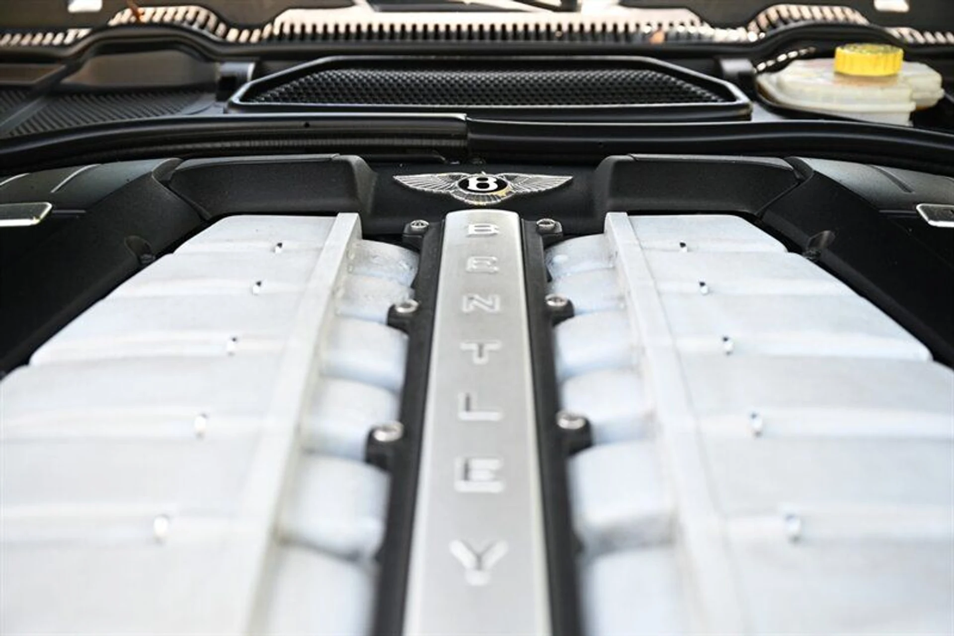 mph018_3061877153_31cf851078_800_7d9d677df9