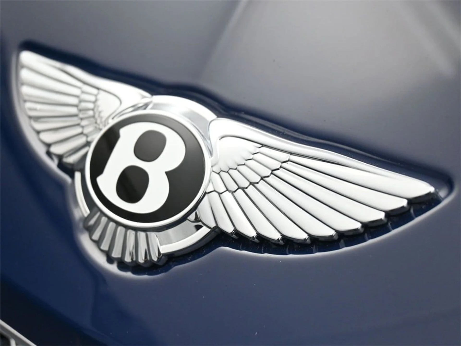 mph018_308715062_a83d7f9e2089ed51a48ae2805c5b7fdfx_1ef6edda33