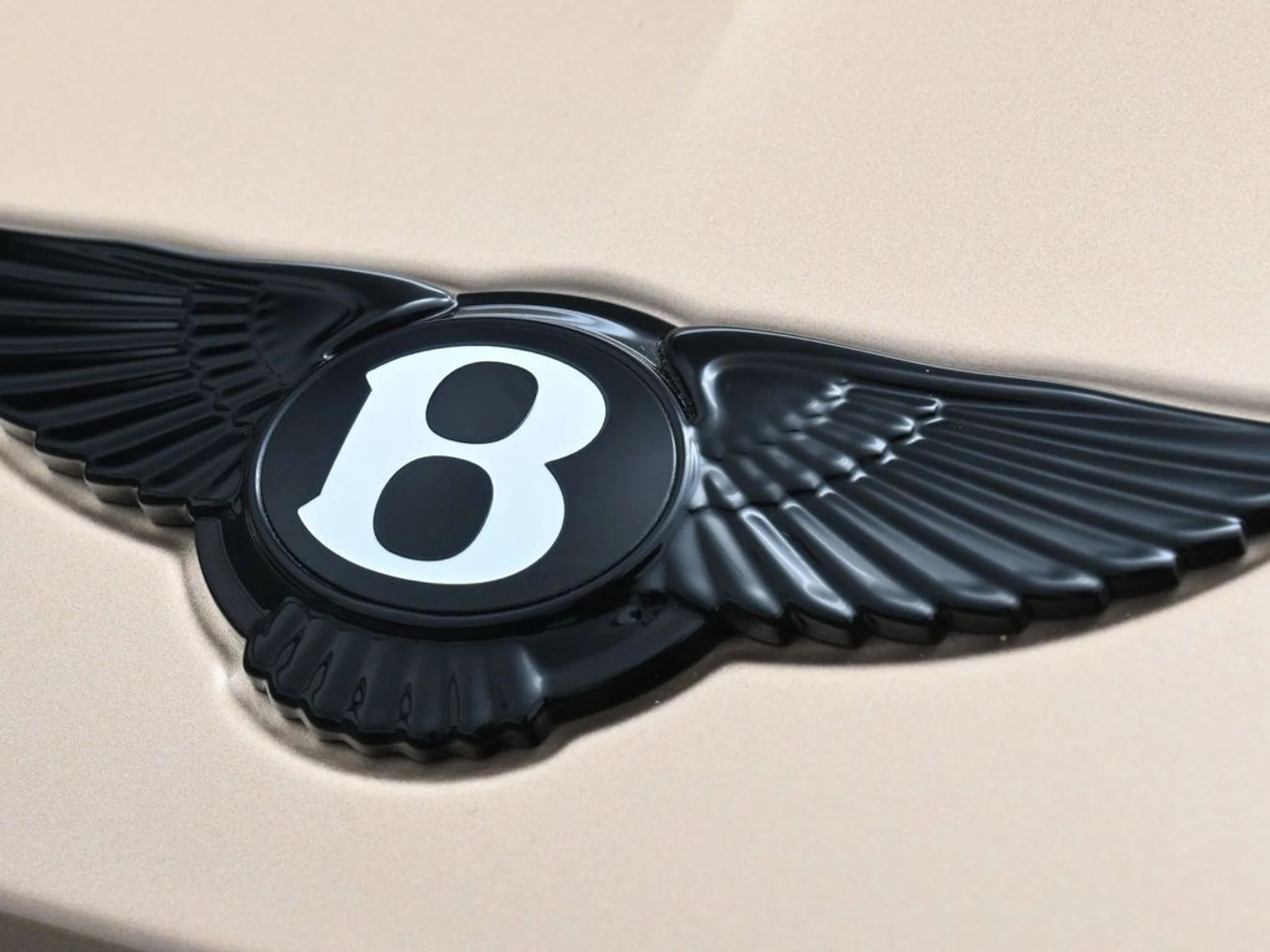 mph018_3121891171_e6118668a823ffa76933070014d7c8b5x_0e8296b24a