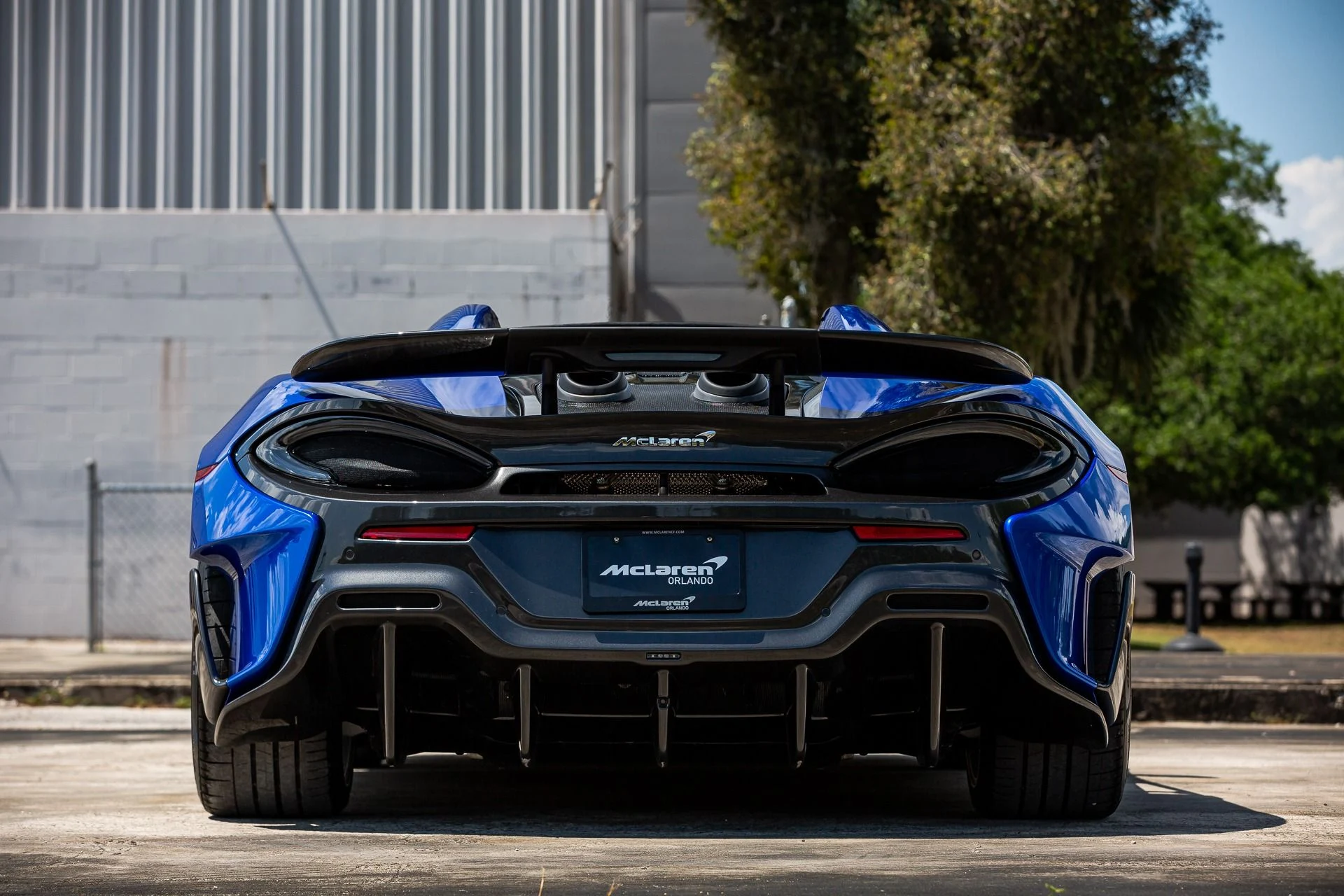 mph018_3146568518_14_p19_l_887a233139