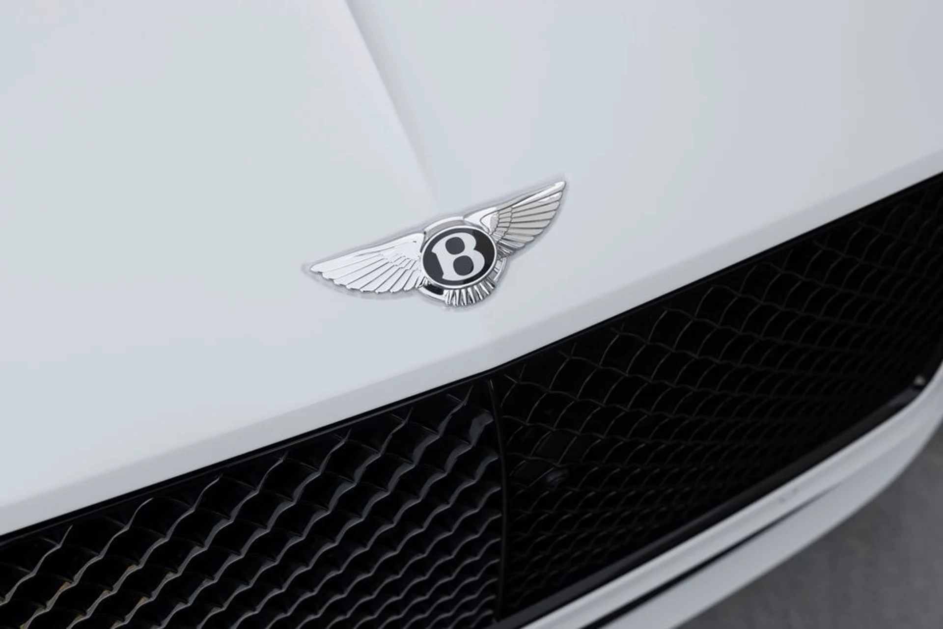 mph018_3196038742_4760ff314c378d87c0de4b0d195b85acx_9e79ca037e