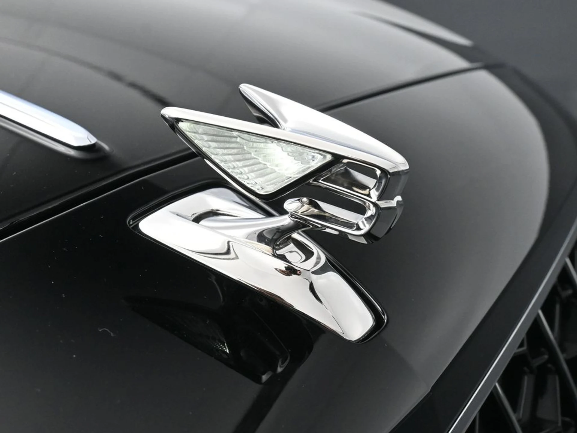 mph018_3350598784_1a3e83009a01148114d3ccbf9442ca01x_134644b06b