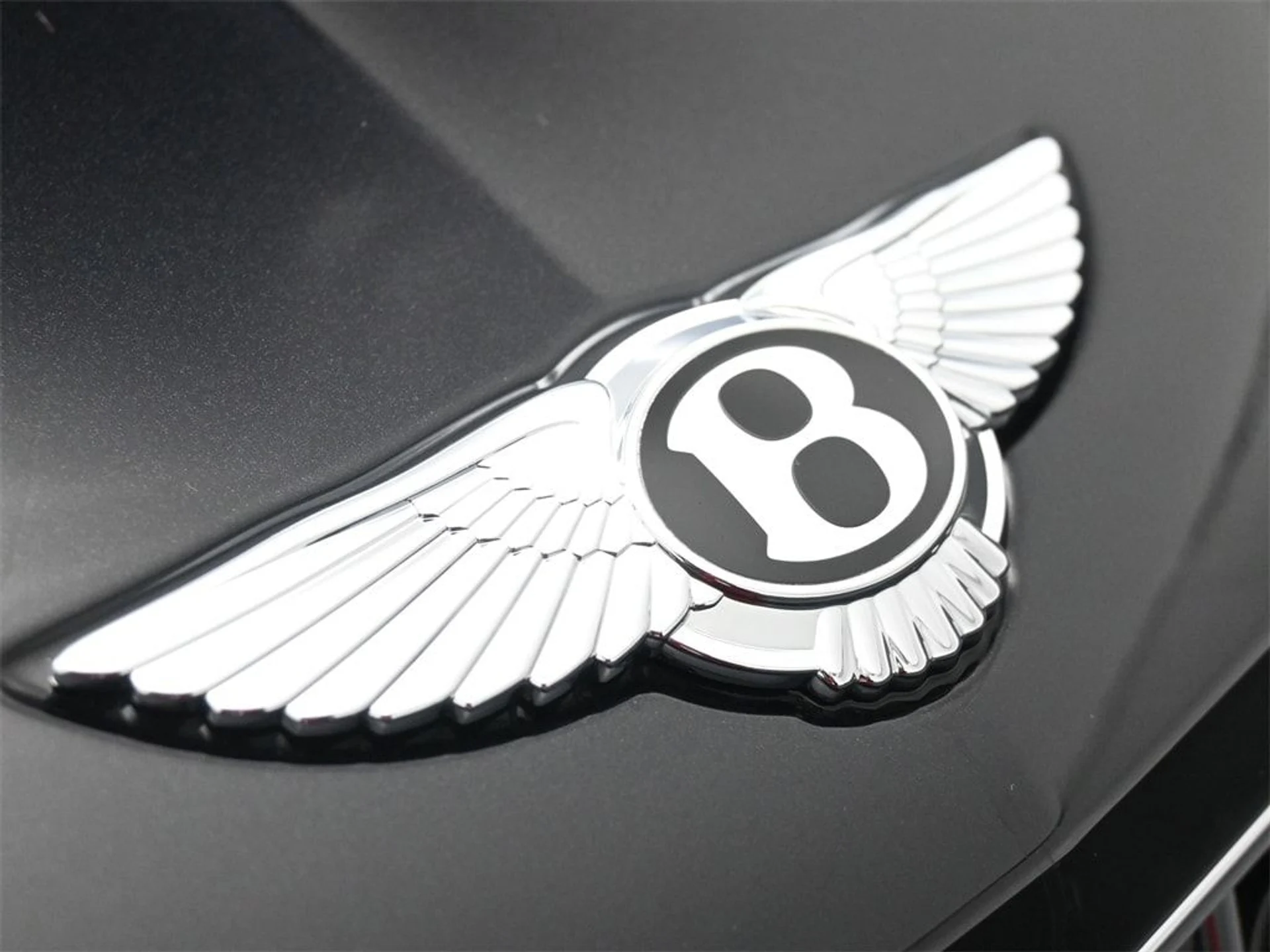mph018_3446460901_4beb833e934a234c28d52322a962f884x_fb72a371ea