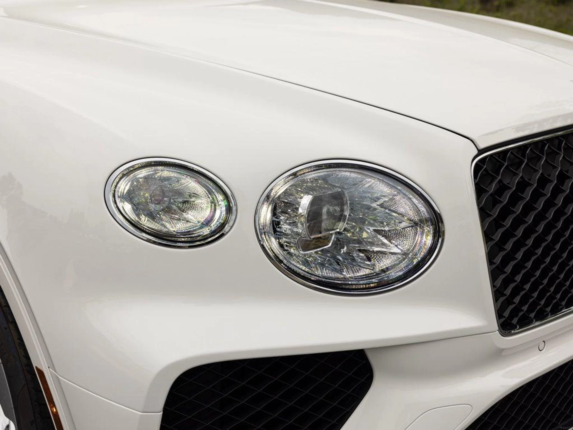 mph018_3450480571_514426018_69ef6f39b42b849f5deca1f7_9a55ff2b2e