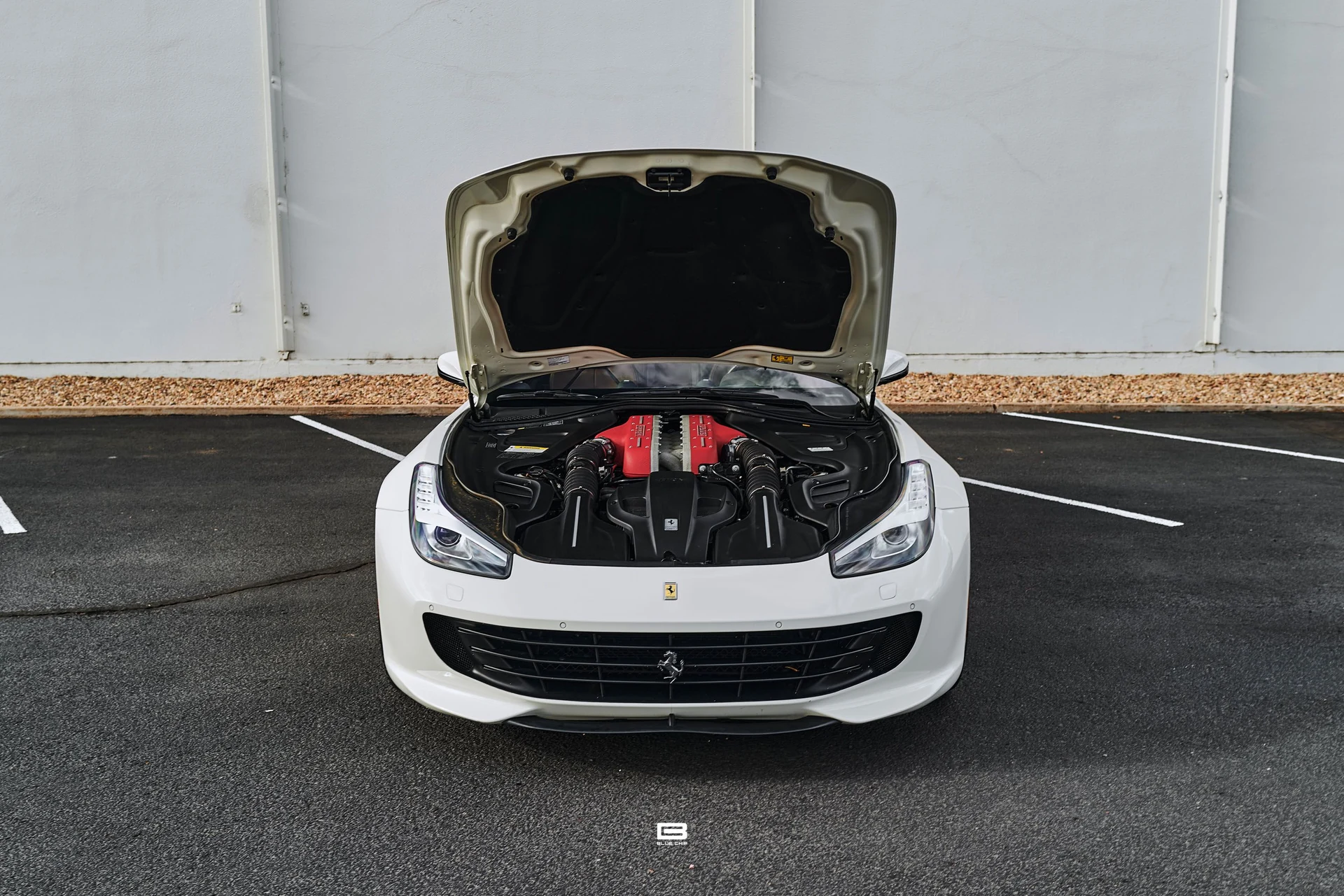 mph018_3485066717_69e2a451c1b2a9a980f06eae_L1220506_508cb1fbeb