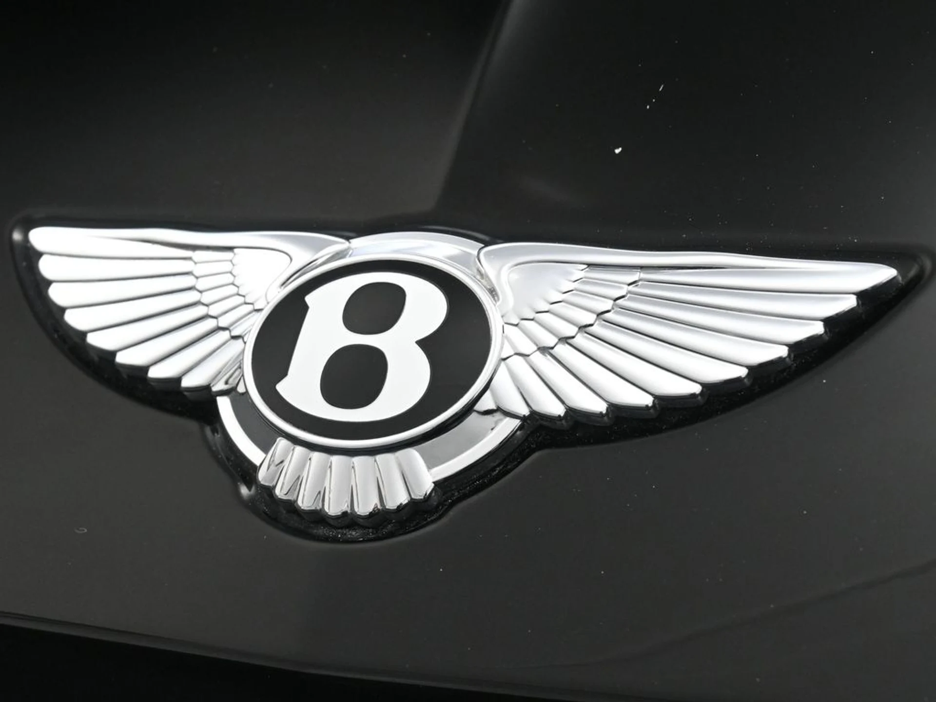 mph018_3490086887_3a9a84a709a791384beb71d825ea7b17x_77f95899e7