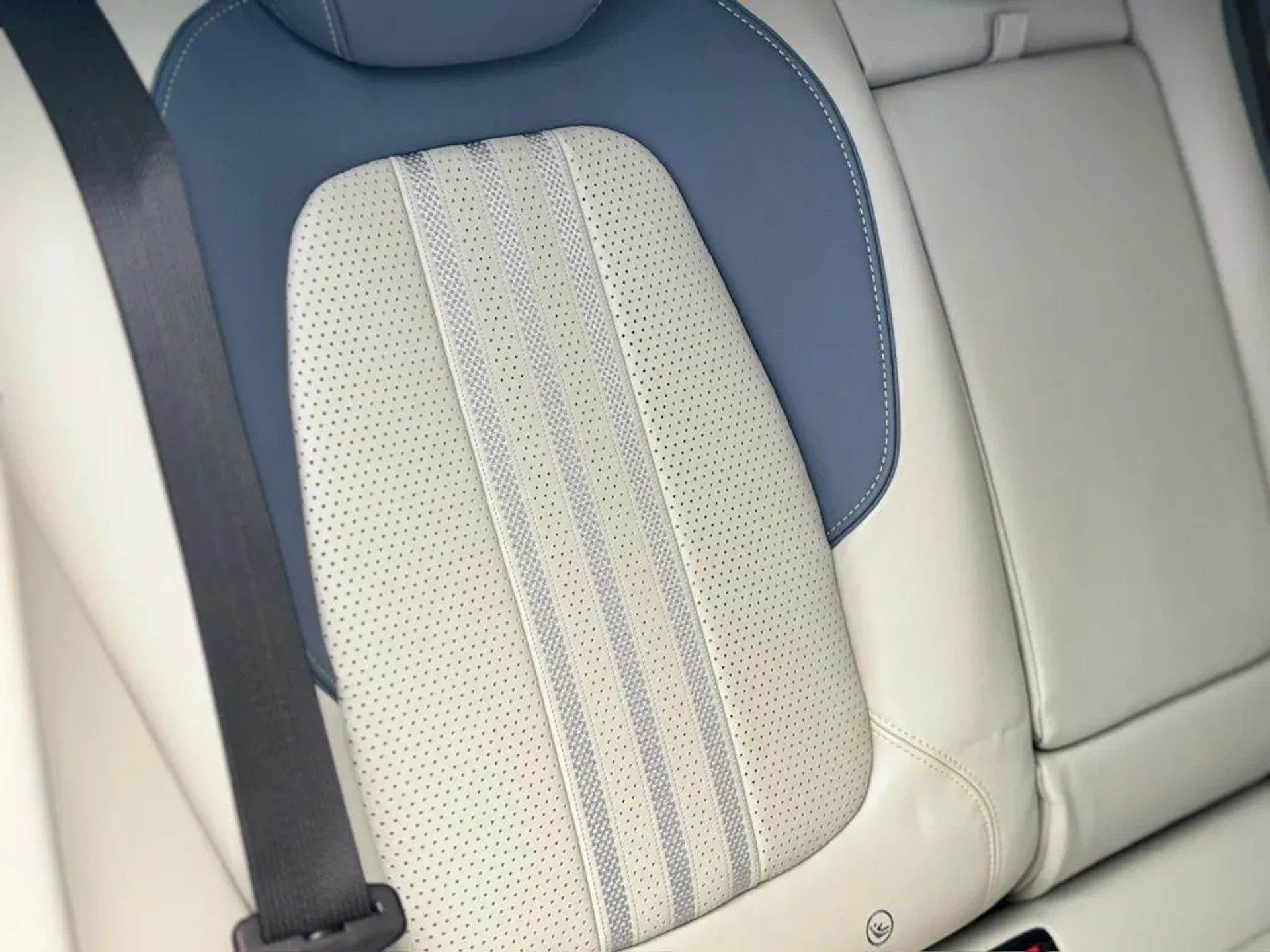 mph018_3505548924_7tx08cxtgpkc2i49sa29ew86wliw_173c43219a