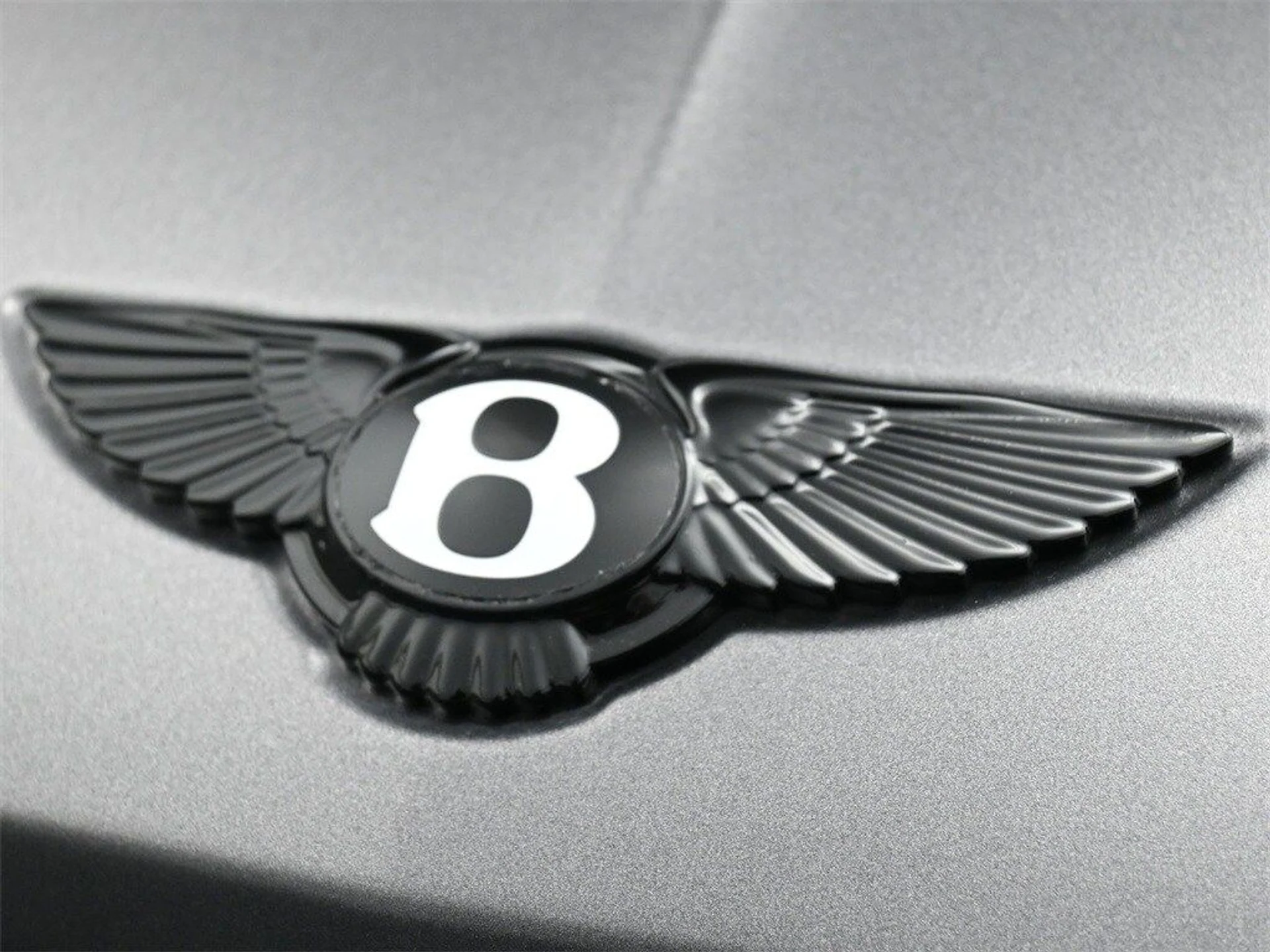 mph018_3603994777_2a1f1425e077715fbaaf64ec3bc8b3d4x_89754e8818