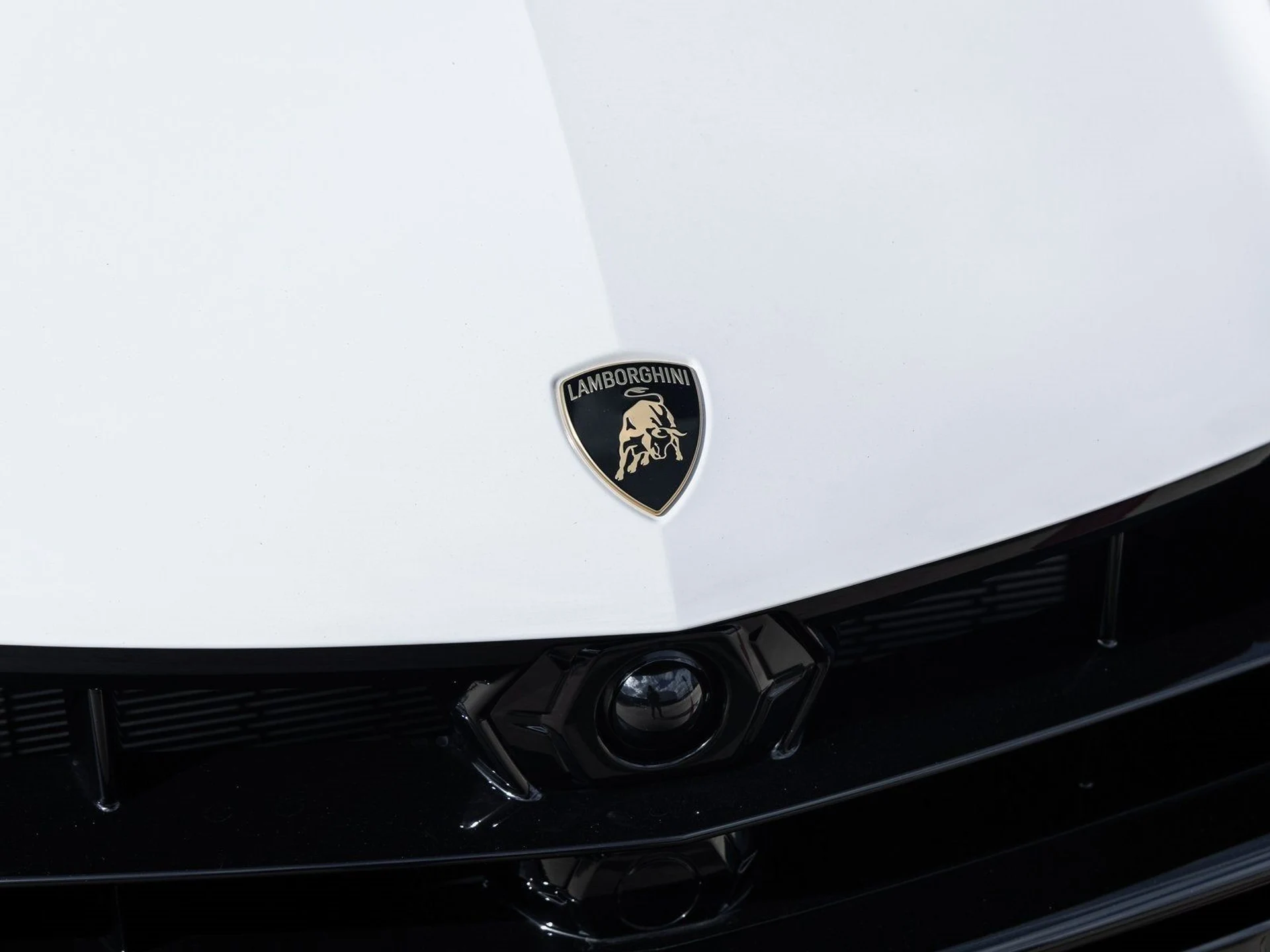 mph018_3657424868_19_dbcc277974