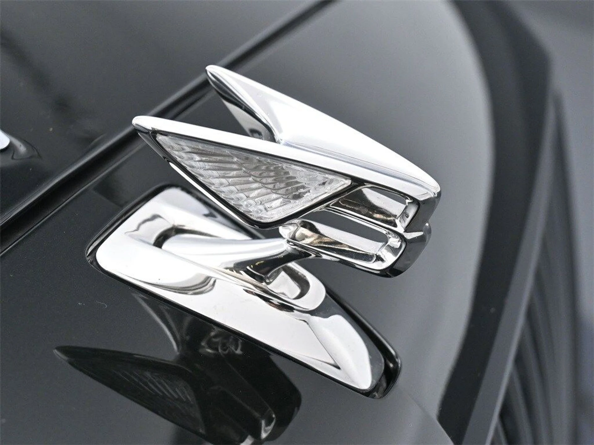 mph018_3676551364_9455edb5df7409de041c2db17e71d9e6x_3215681eca