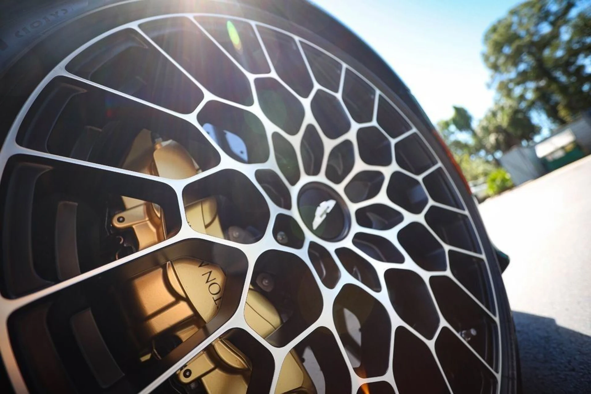 mph018_3679890669_bbca3a0e43a49370f2b68f90534f6ced_365a9511d8