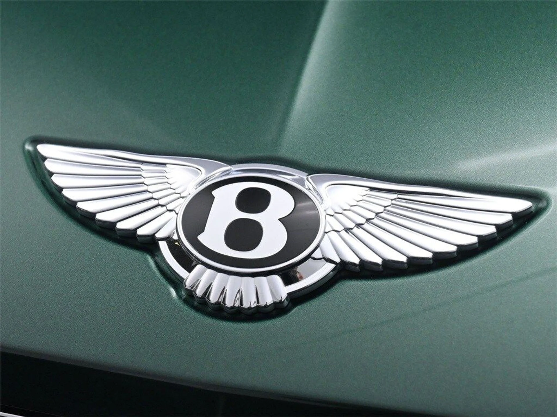 mph018_3692977223_cf8f3ceac9f9b0d5af6dc68f57b453c5x_2c18a23733