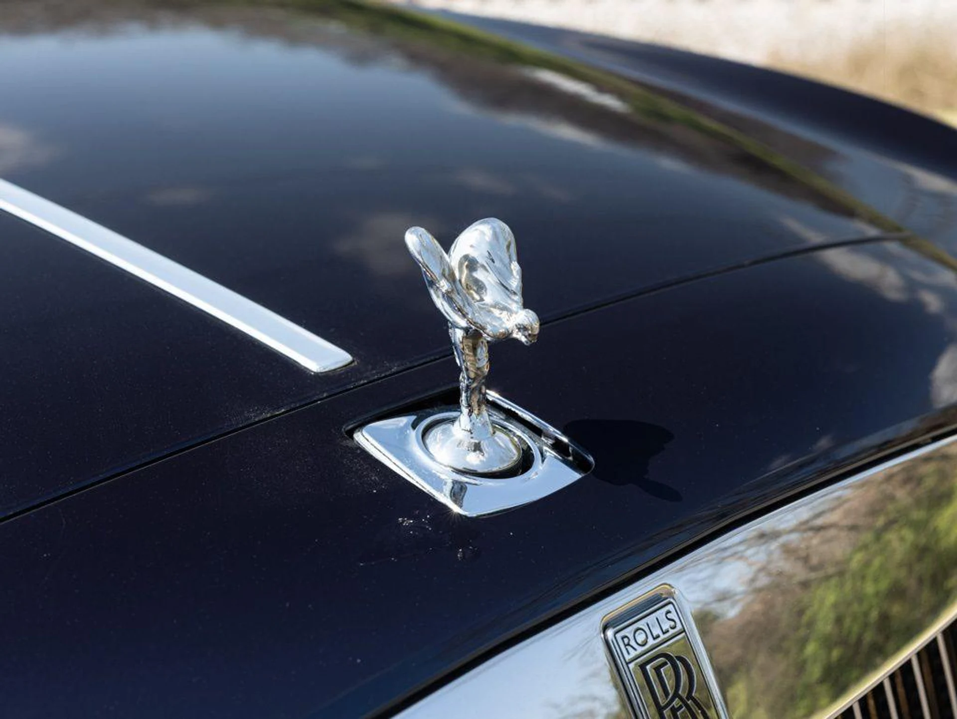 mph018_3712645353_504934488_69c6ebaf5561dbbd2d618be4_23716bf49f