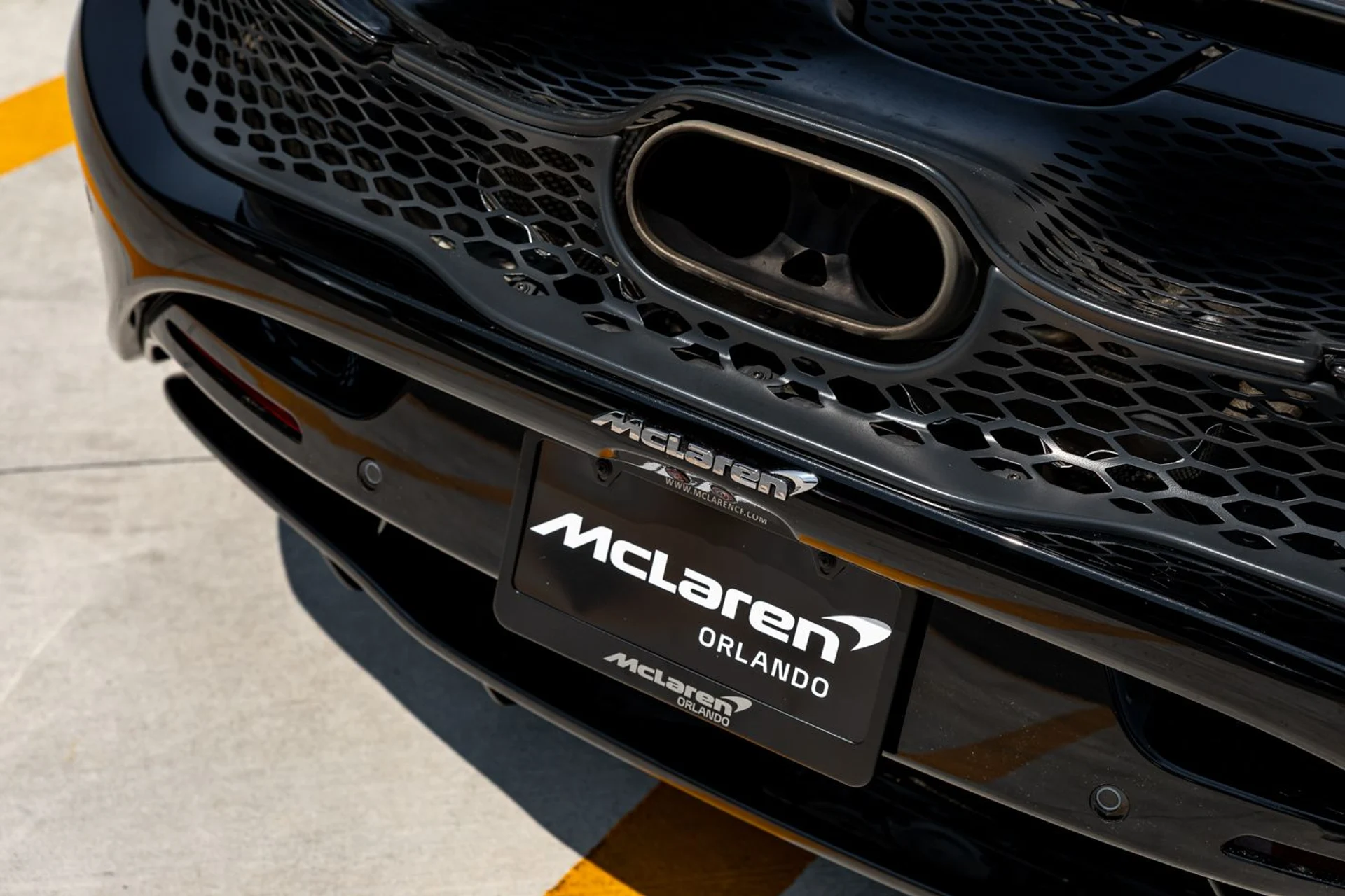 mph018_3713084535_550_p20_l_b09806dc6e