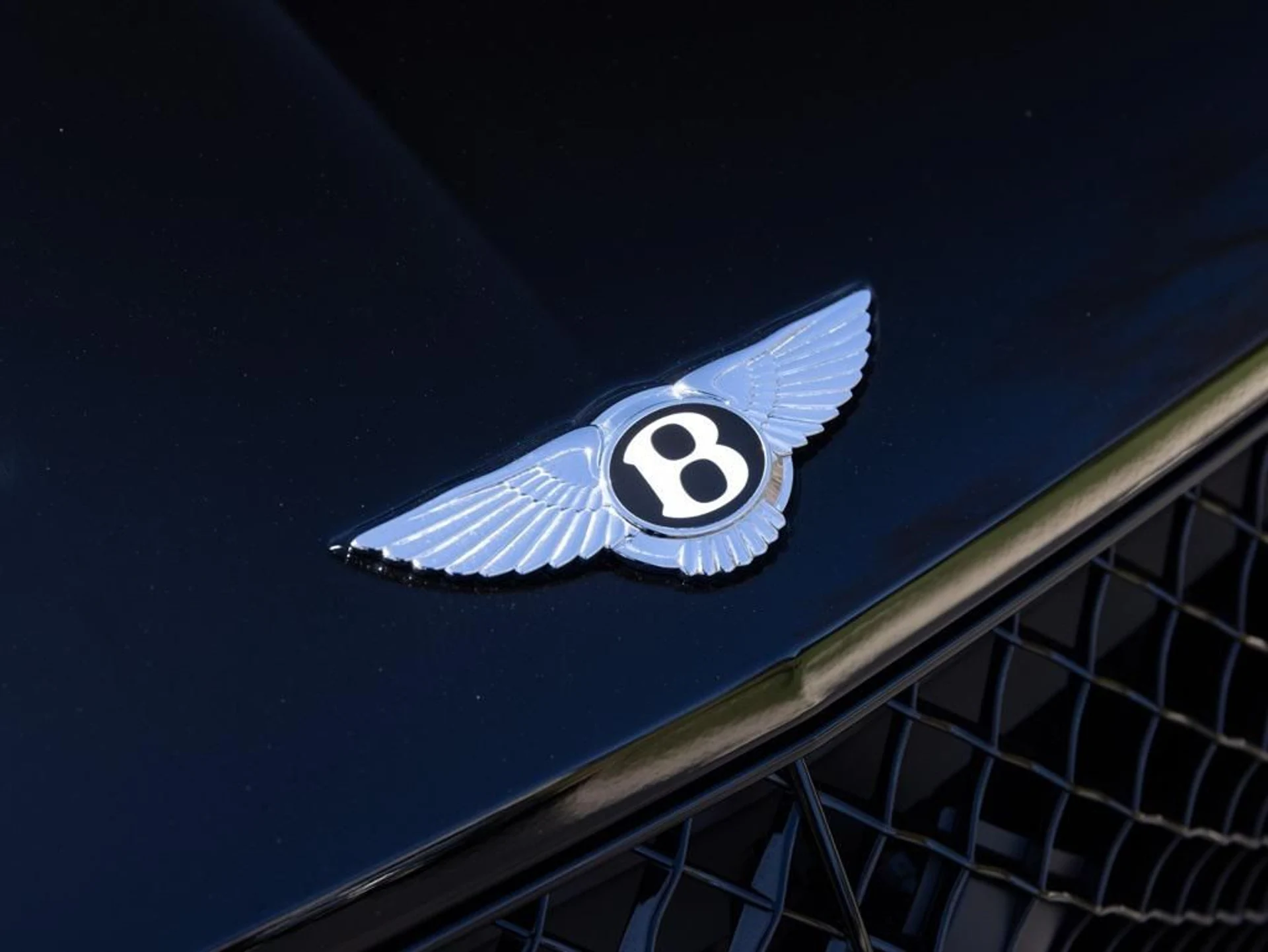 mph018_3746987516_407780630_69464455604a396795b9f3db_3d7273031e