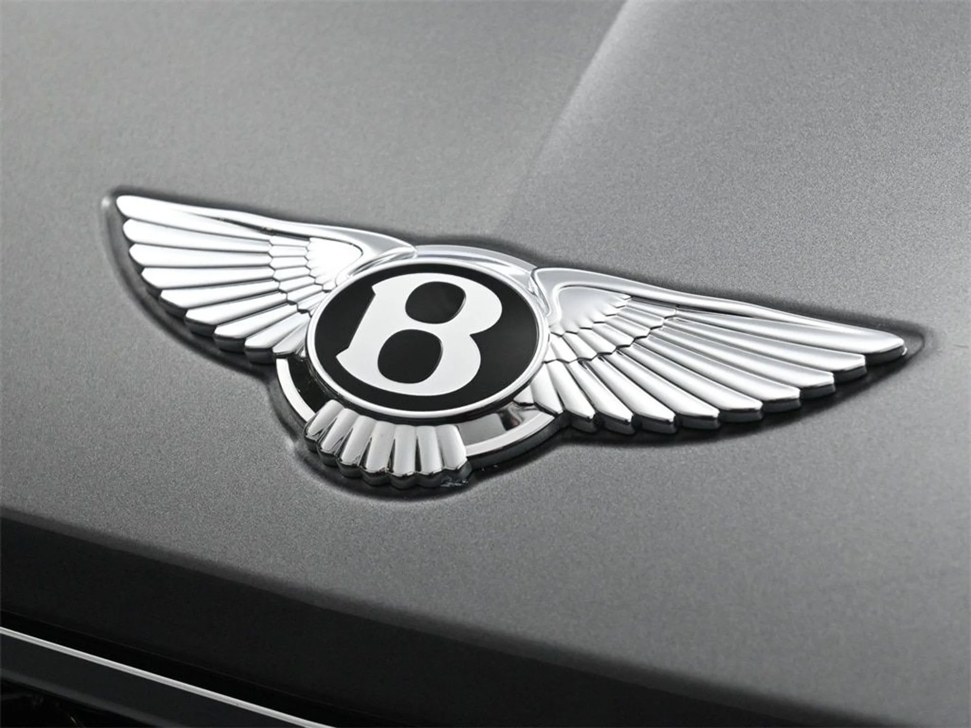 mph018_3760828465_44655af96a1315a653a30607e5537996x_106efd1a99