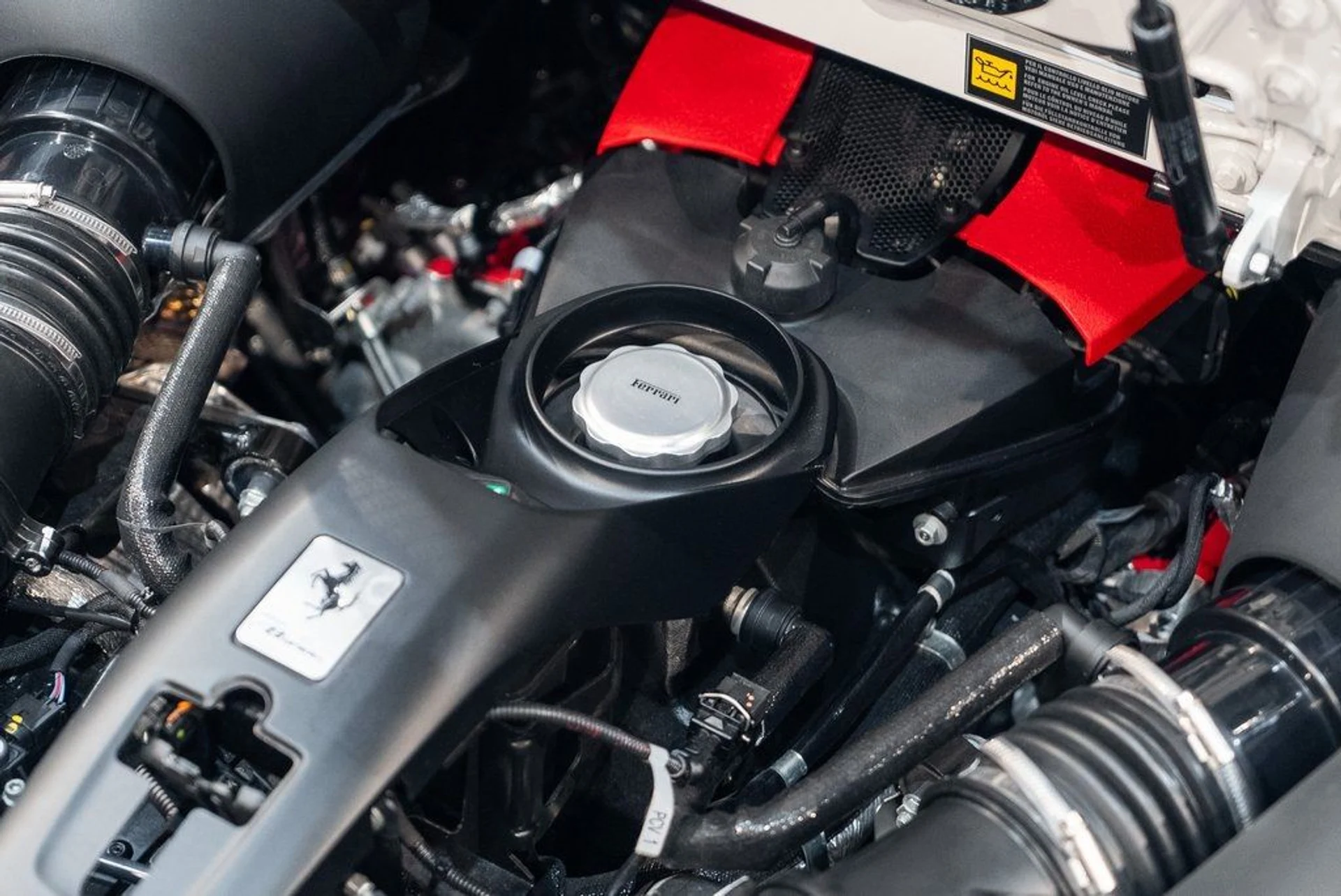 mph018_3782498148_4812ef17b54075aed22181c89f7ed8a2_a264214663