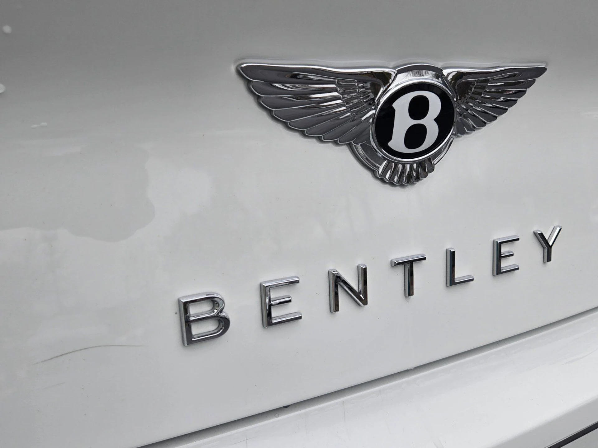 mph018_3808234551_ba73aead2946191247a56f9bafe170f8x_d50ded5de2