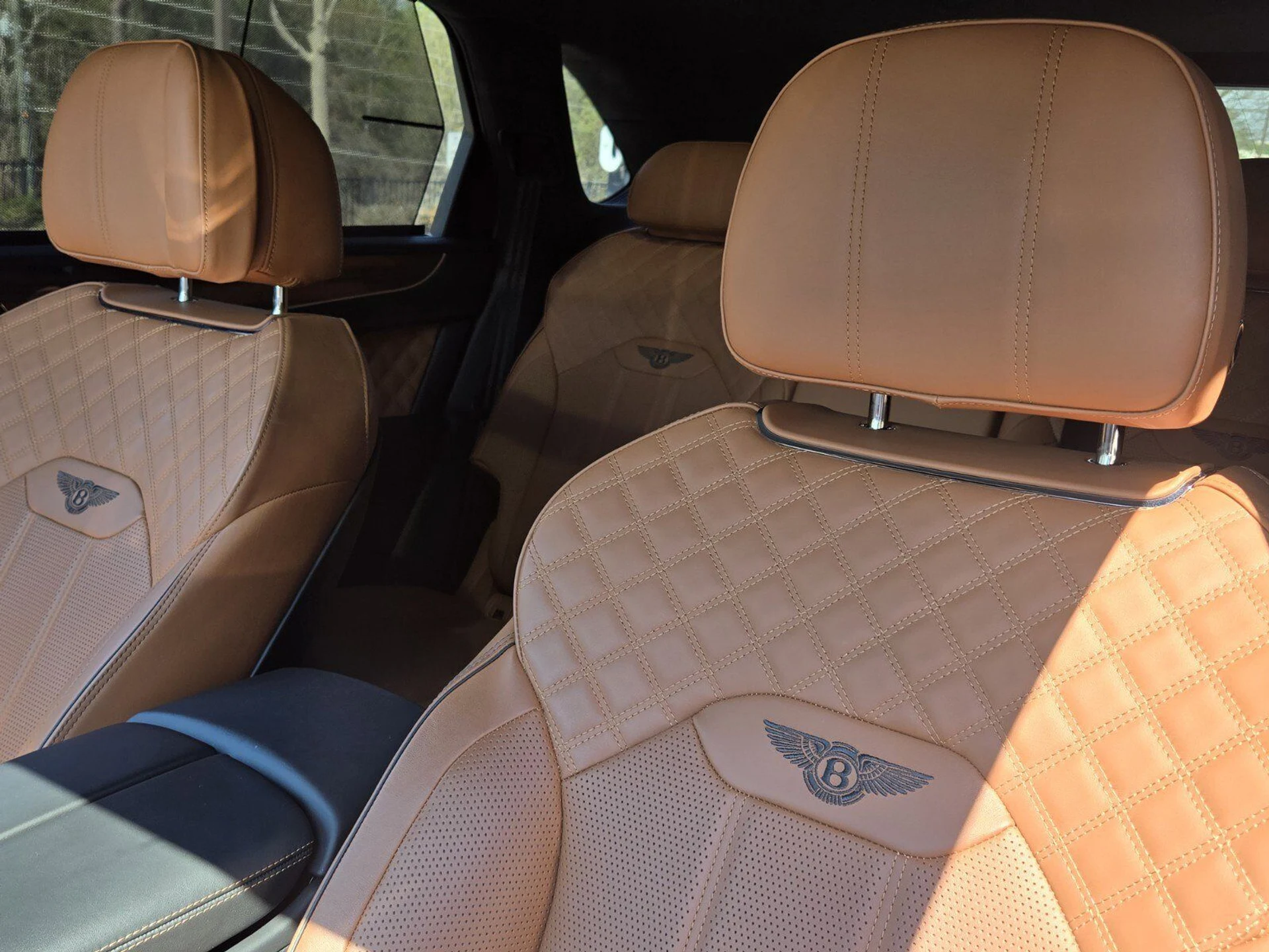 mph018_3823567740_ee549949221a546f0b53327f6455e4f0x_89259c587b