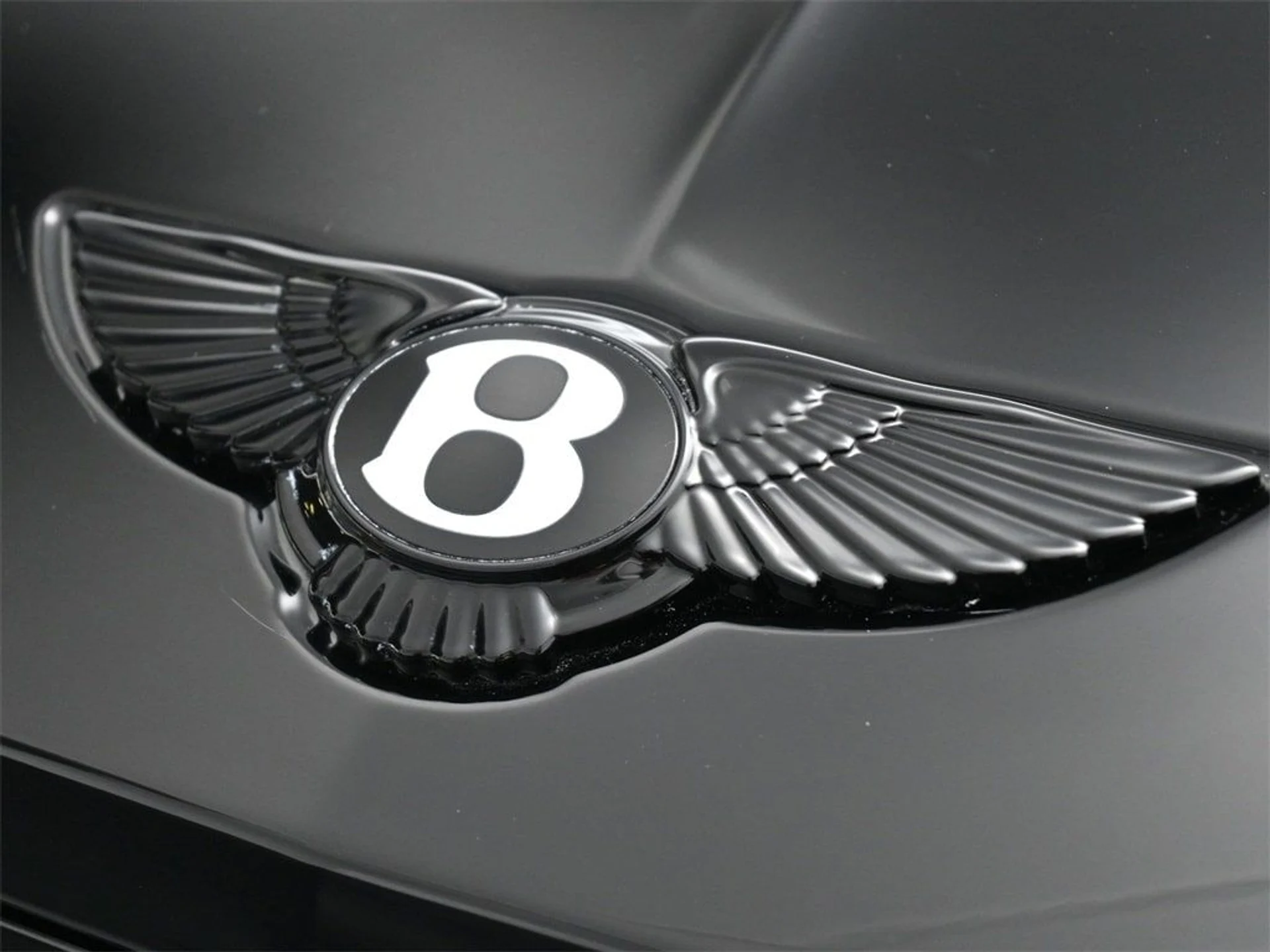 mph018_3835121850_a76749e4e1d2a4bbf65b26dd368e54c2x_b337dff113