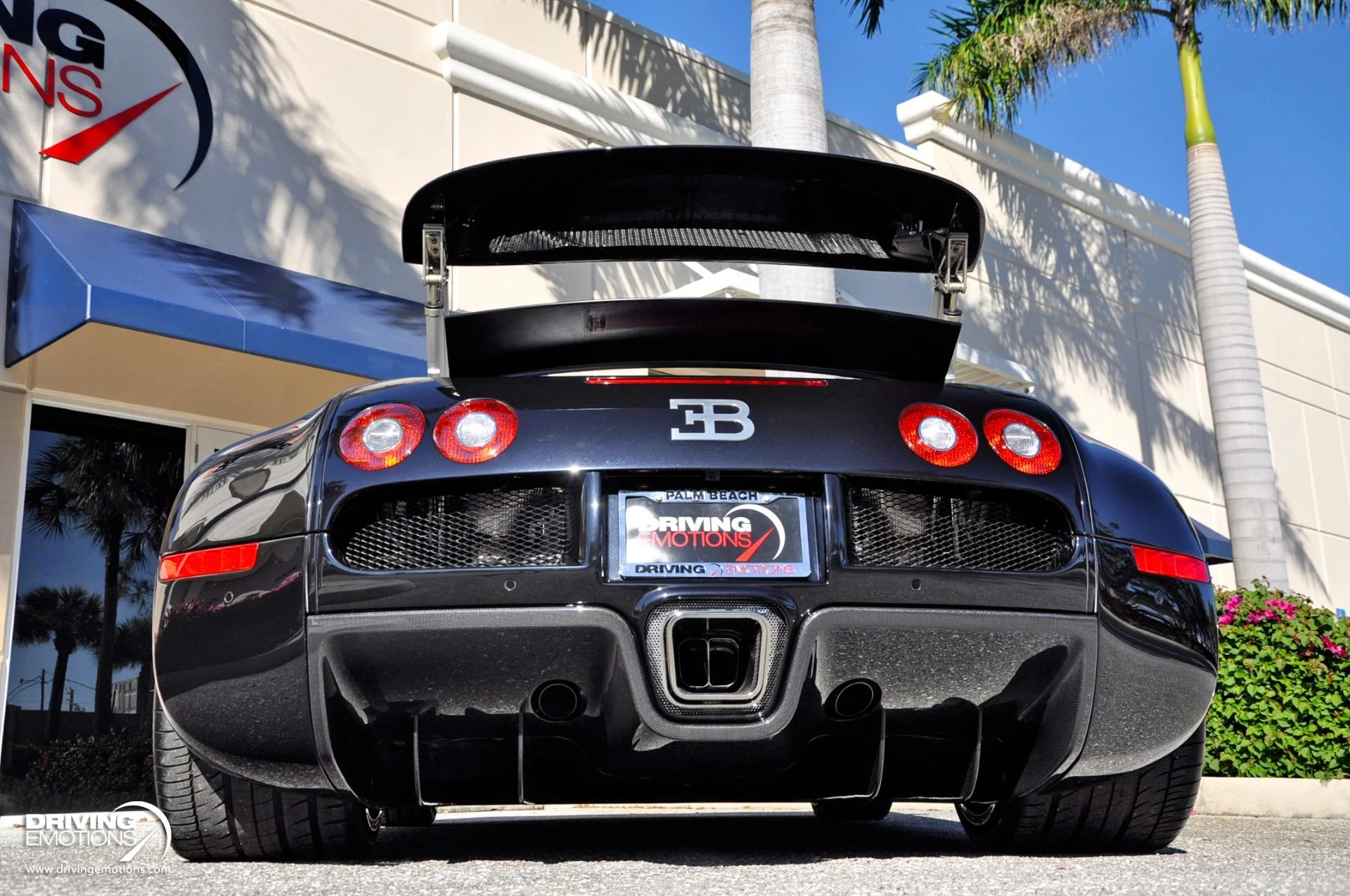 mph018_384524041_479_p19_l_4b10743022