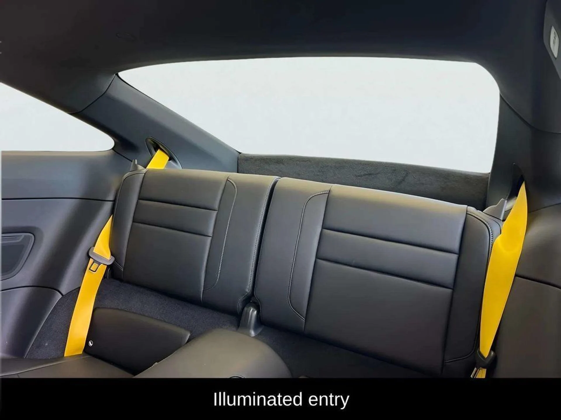 mph018_3856708029_nvyk8bz438amodo9i0r5fhsa5xg9_499bd5e7da