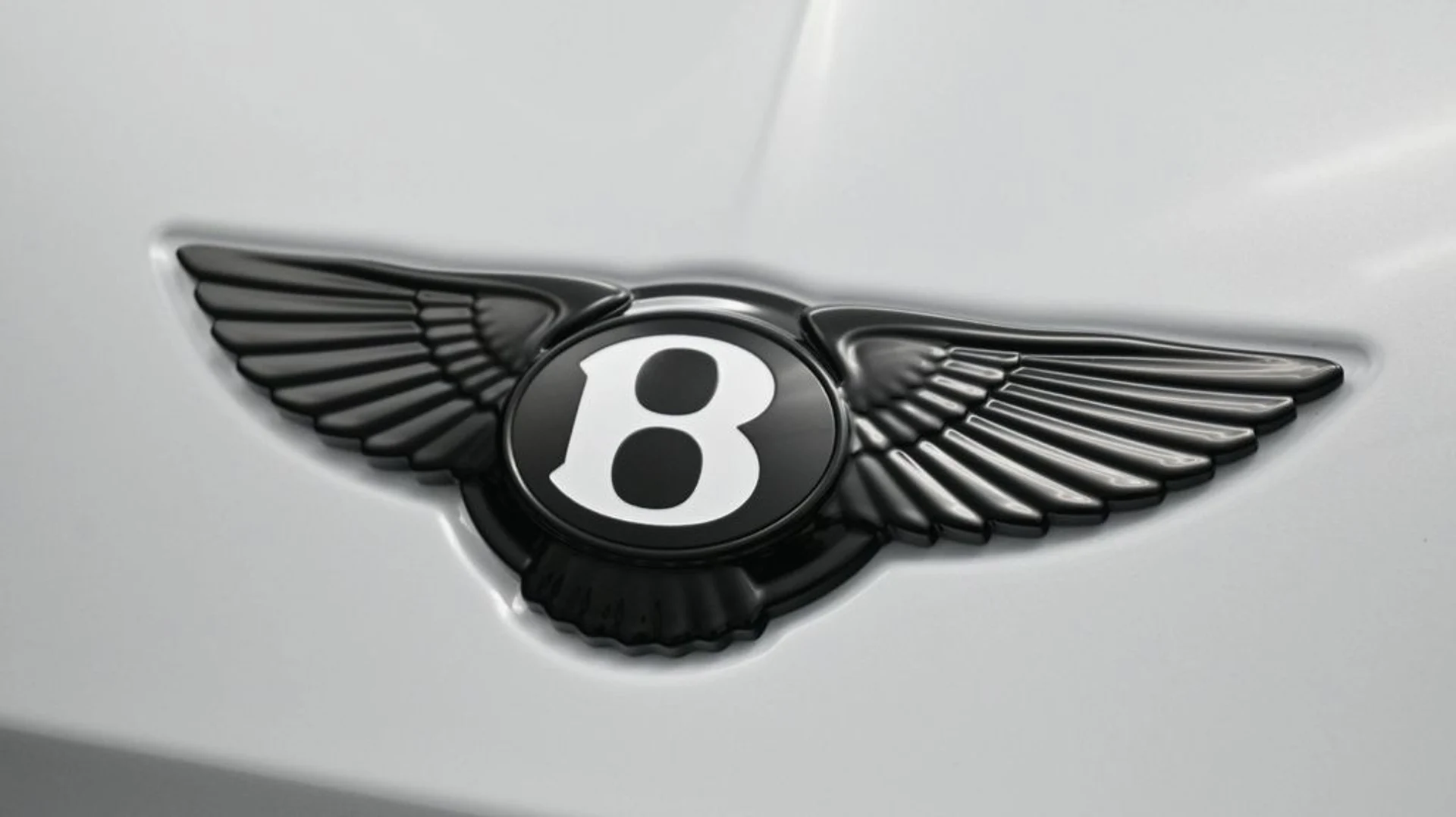 mph018_3902846006_ec48a23947bb5e0497872591d8b6b6d4x_740dff3734