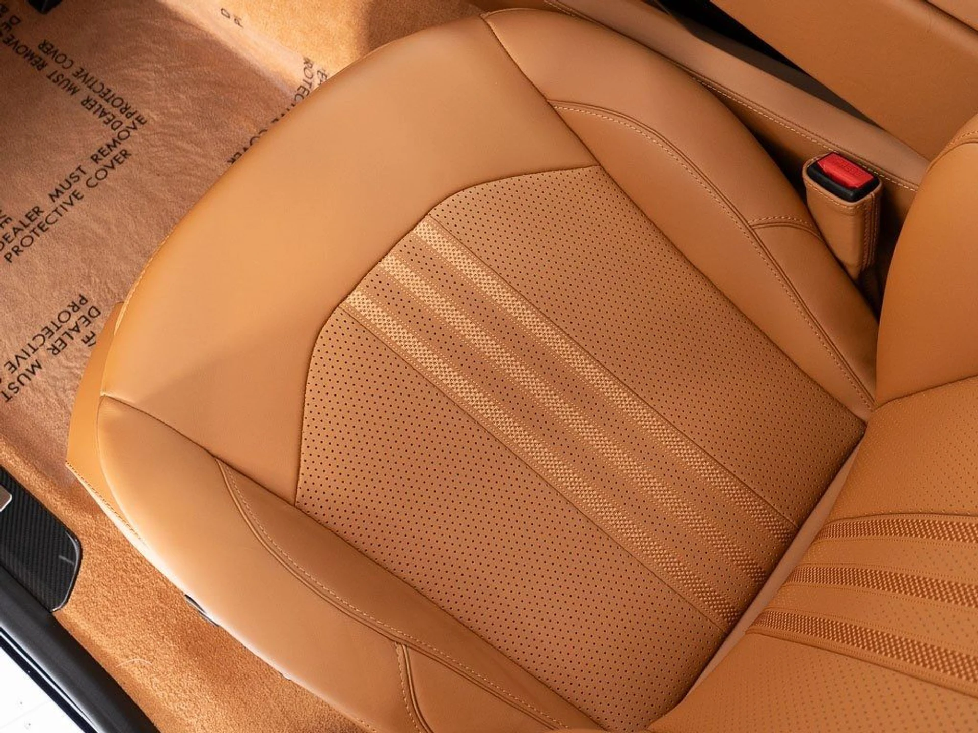 mph018_3924960606_107f087a239dbef0ed2afef99ff214e4_770ccfa31a