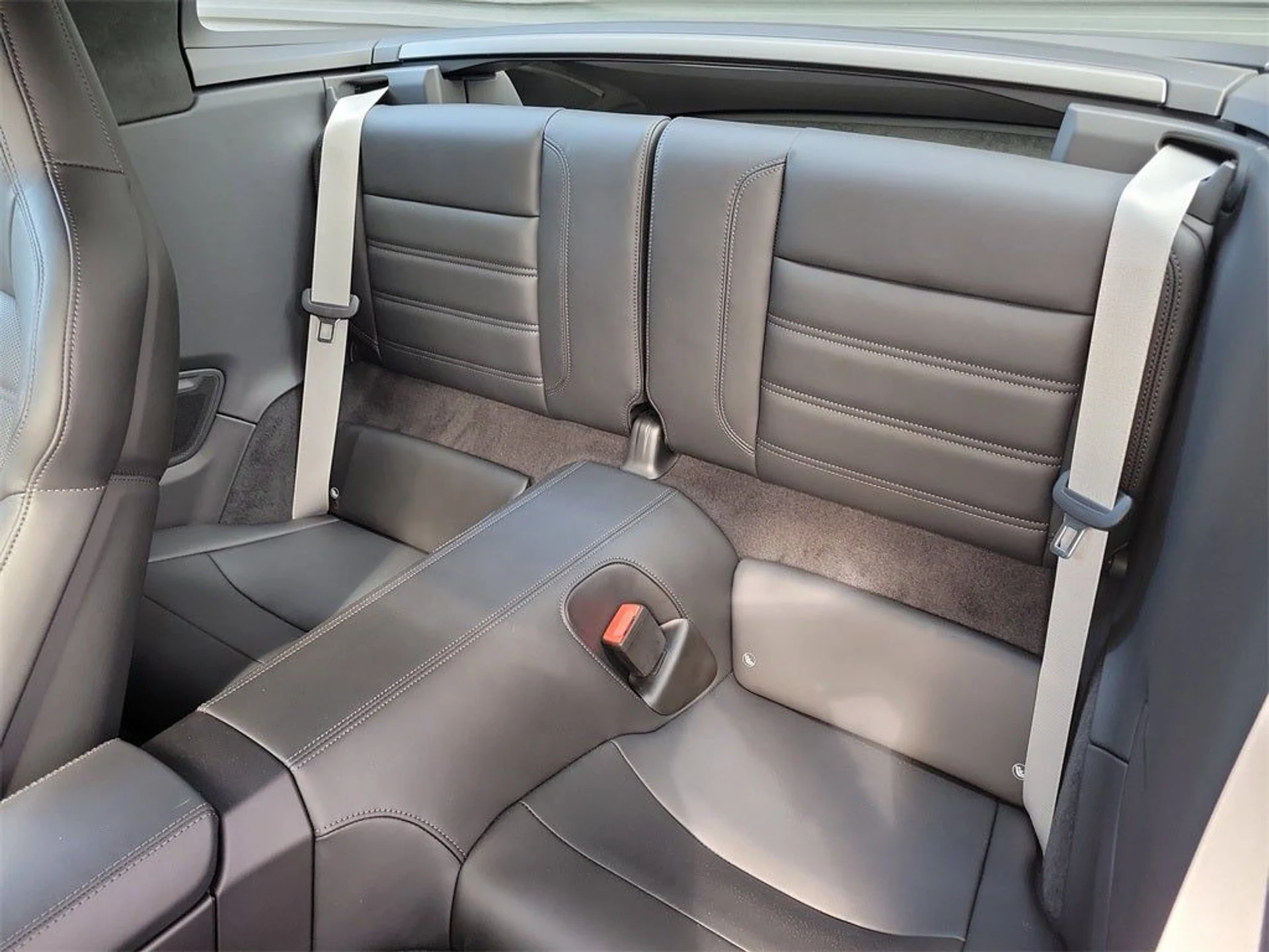 mph018_3933845029_19_304bc01f25