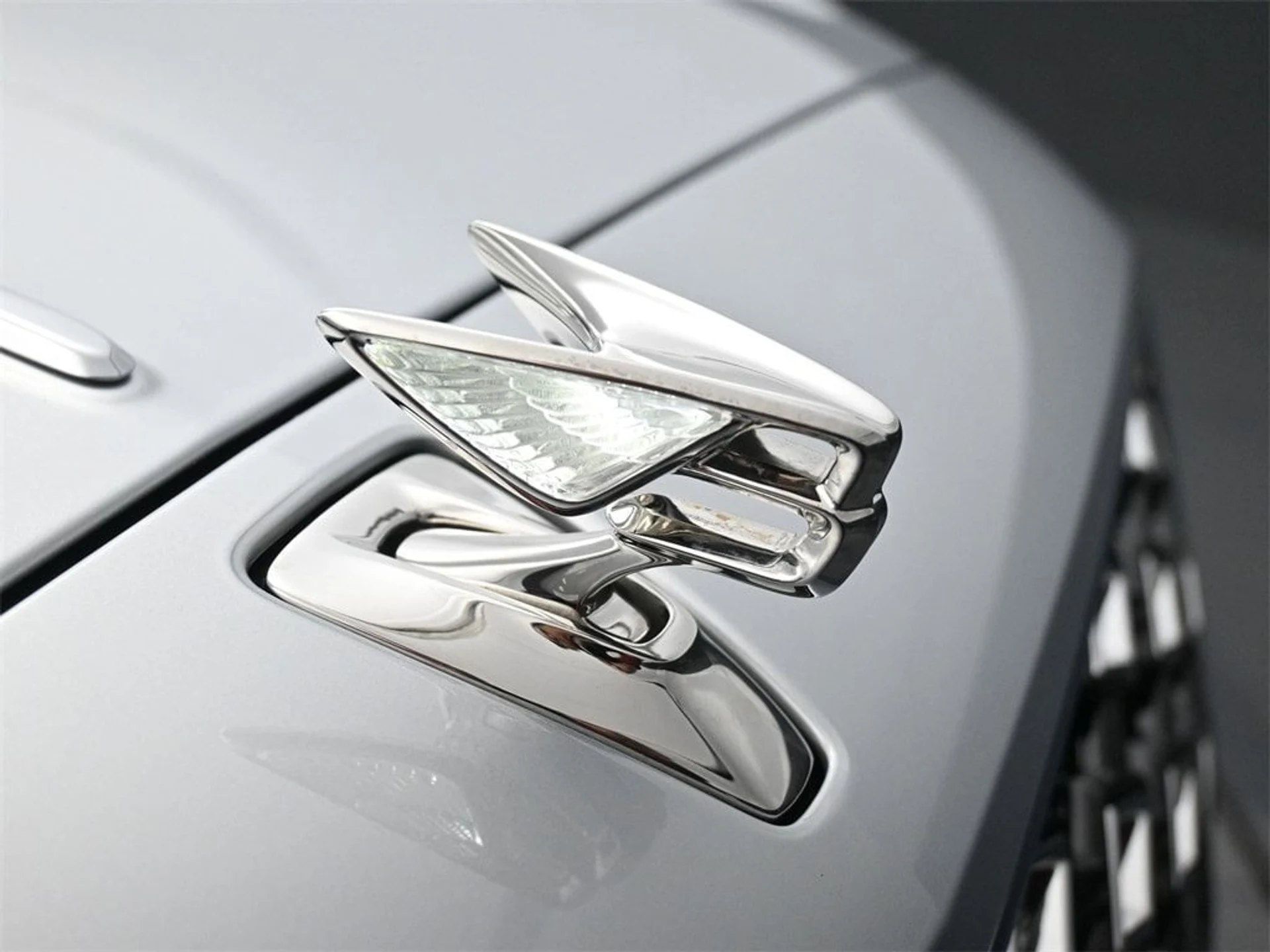 mph018_3943131391_04afe04da63e09aeb167399f9ce58d2ex_137302fa4c