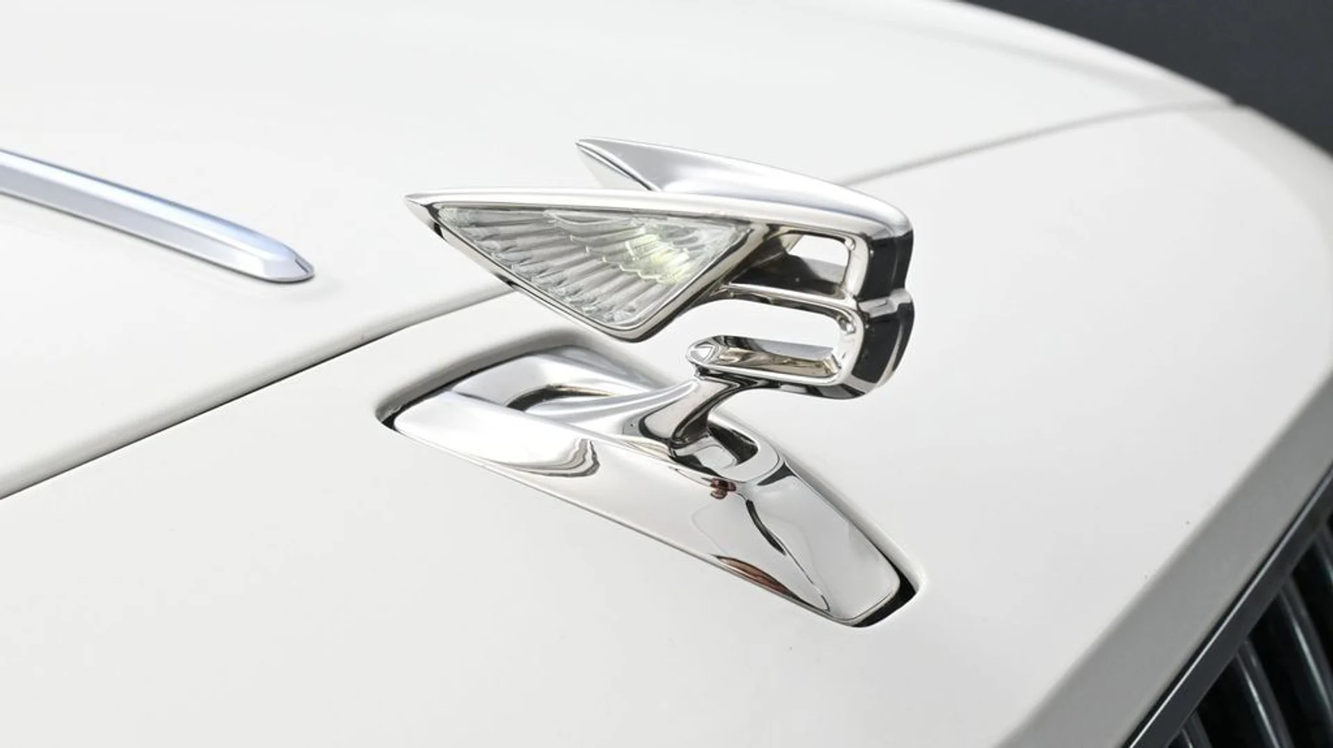 mph018_3949626058_6176c1c83033cab627c8c201bac6f044x_c50afc0791