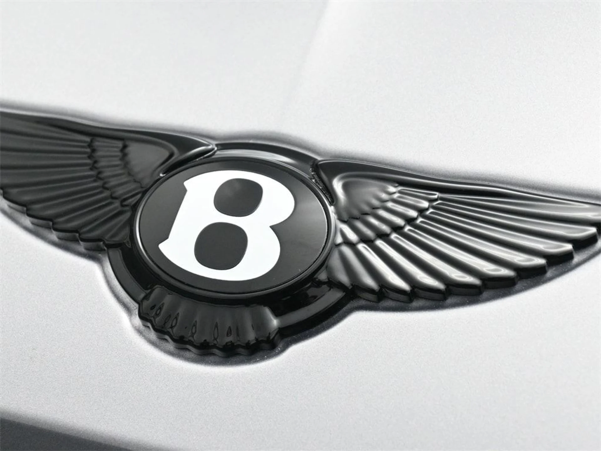 mph018_3951059219_41118de50fc83ca468b6ec1a3c4e430ex_acfbce0254