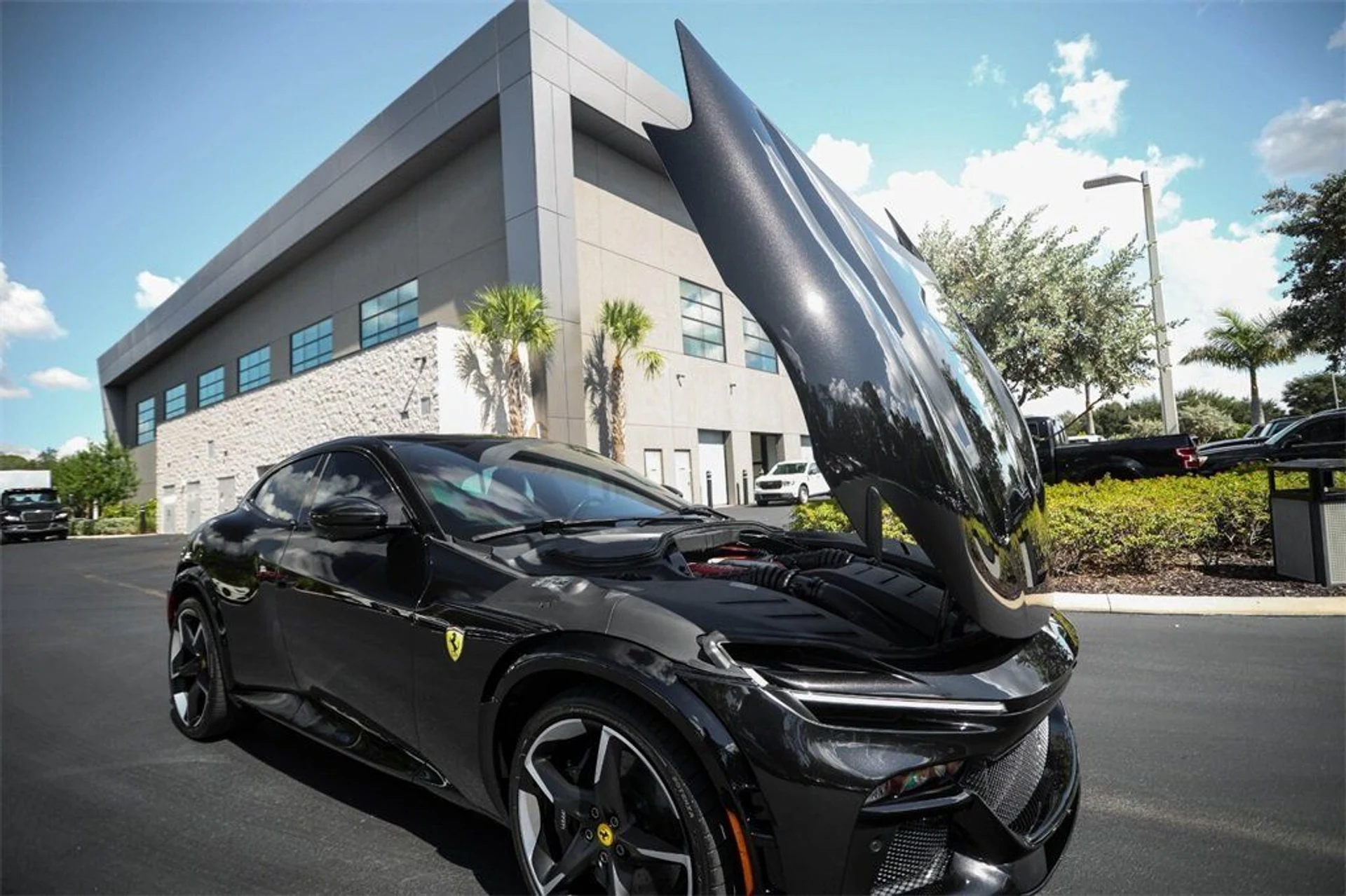 mph018_3998930663_ce6e43af41228440cbe06cda2399eead_1d499a7775