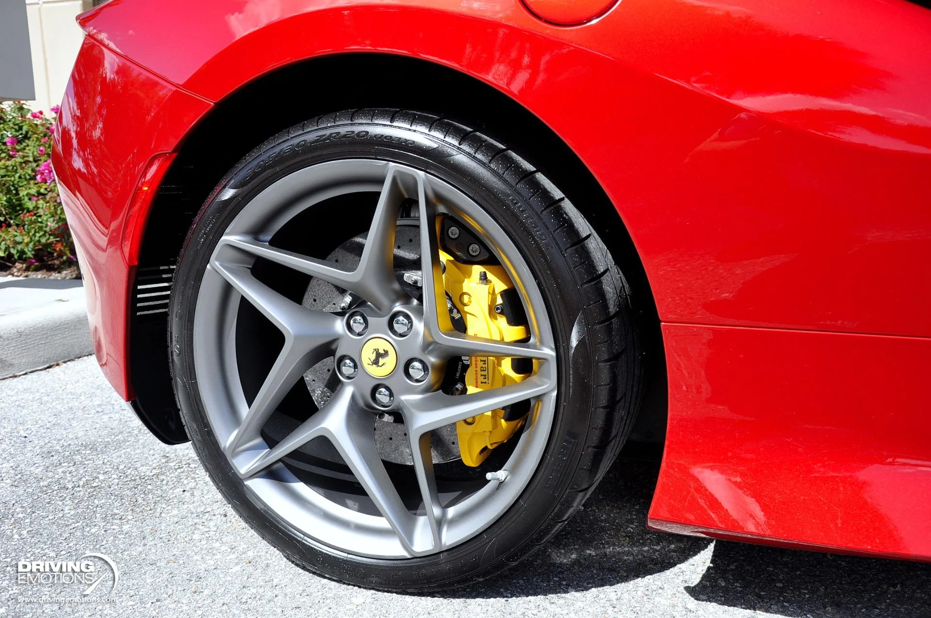 mph018_4041197337_896_p19_l_7d2be41266