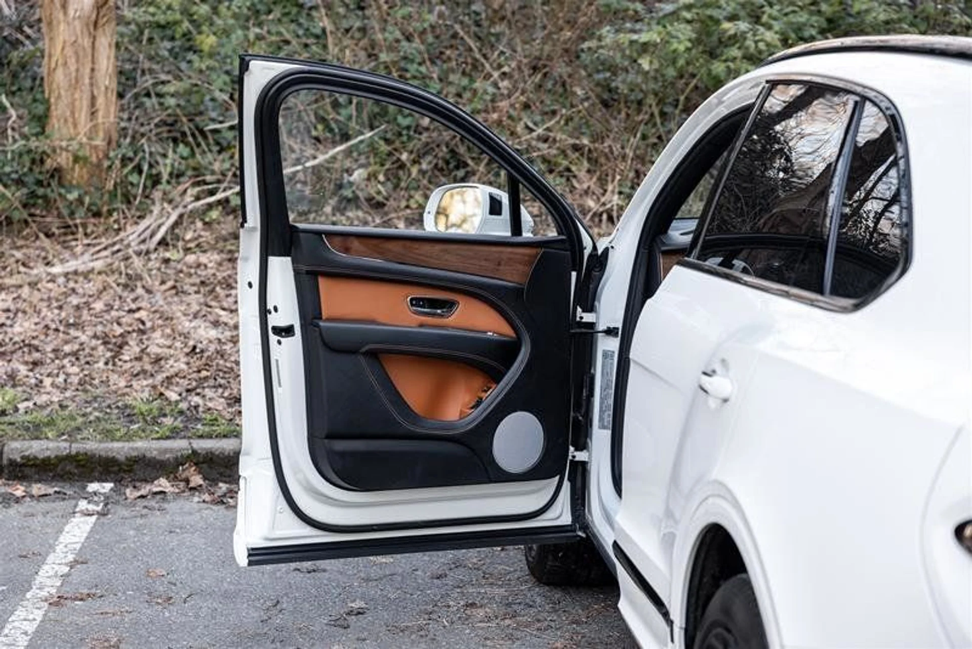 mph018_4119144646_37850546_04176_11783903_1611765106_57bb6029ce