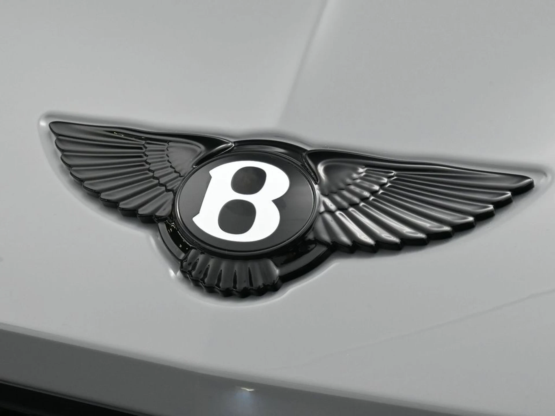 mph018_4139067820_7f45a802614a88f8e87a223f33325fbax_6c99bfbf19