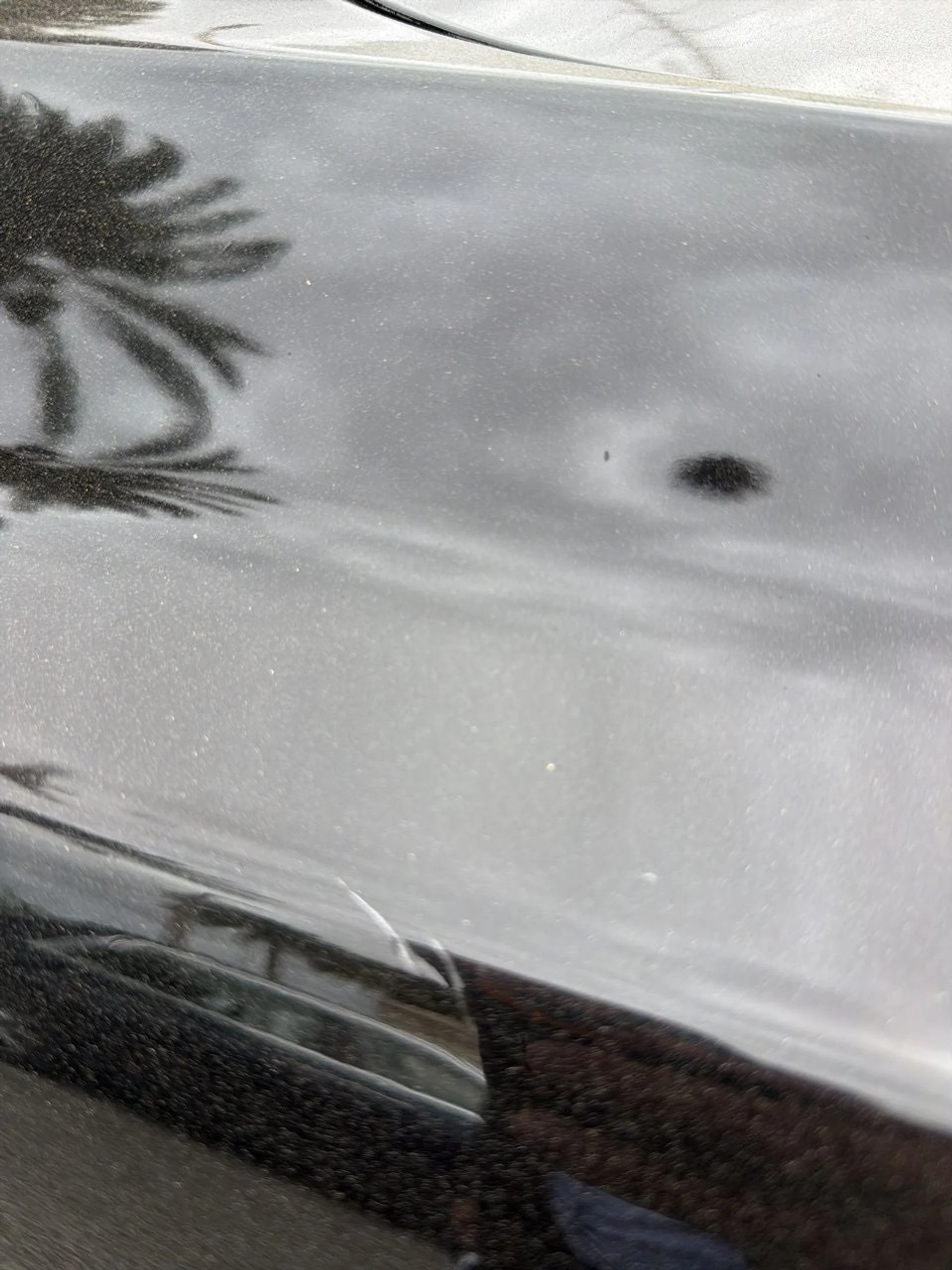 mph018_4197074472_19_b805352f81