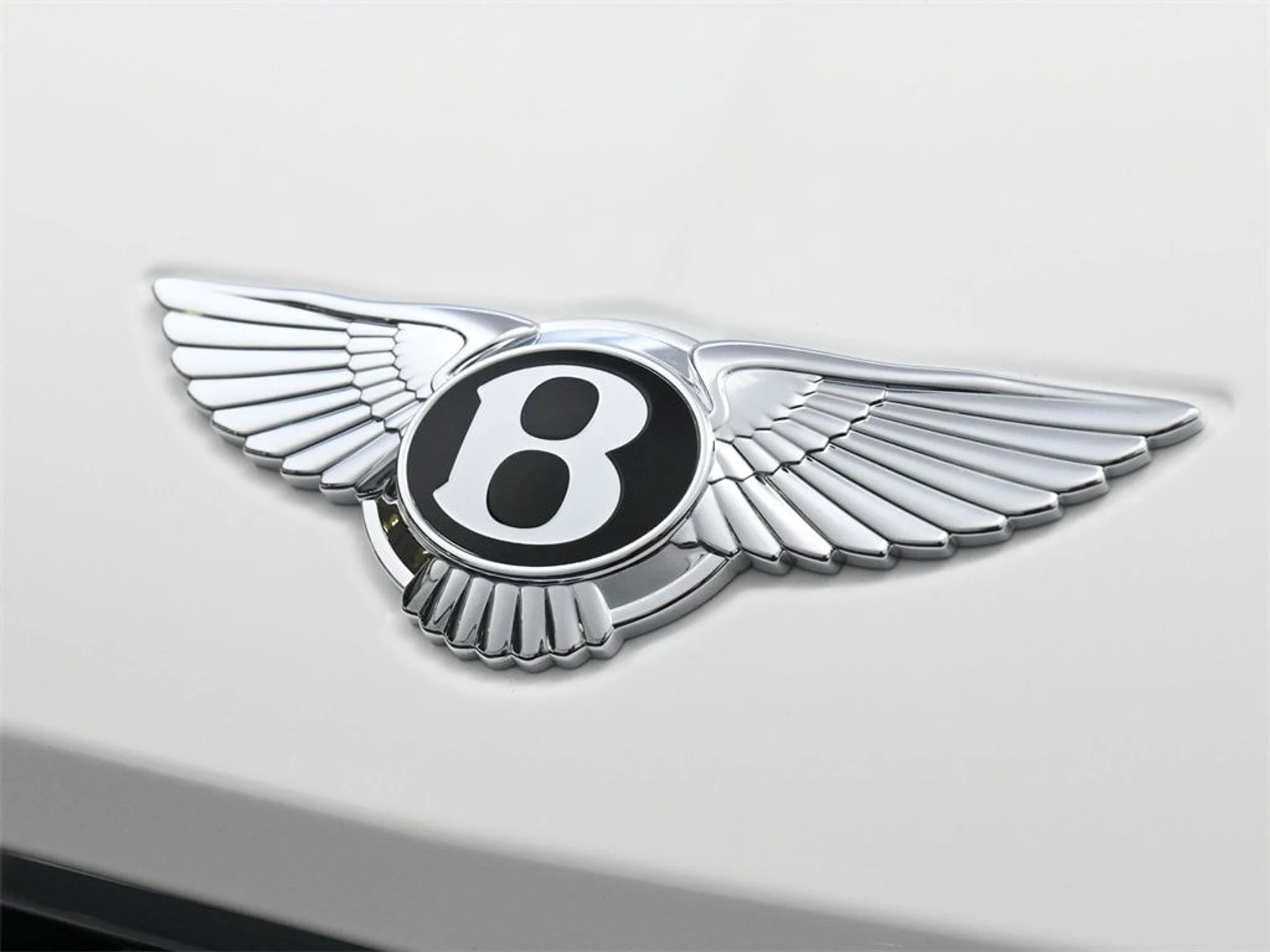 mph018_4200314503_a69ccd89abd6b828e0bd7b6d0b337b42x_93fdb69d01