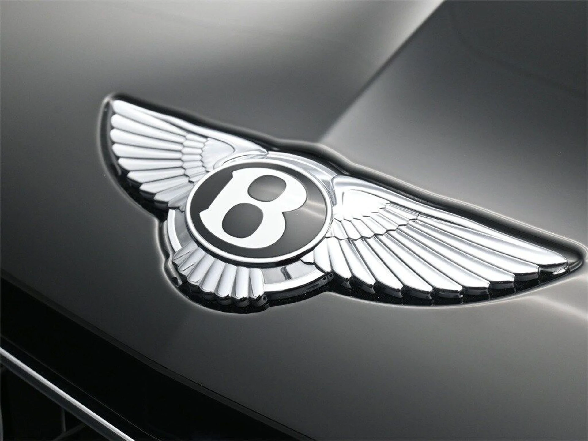 mph018_4245318559_730fa78dbf75146b73cb8b614ef3bd9ax_cf938c40fb