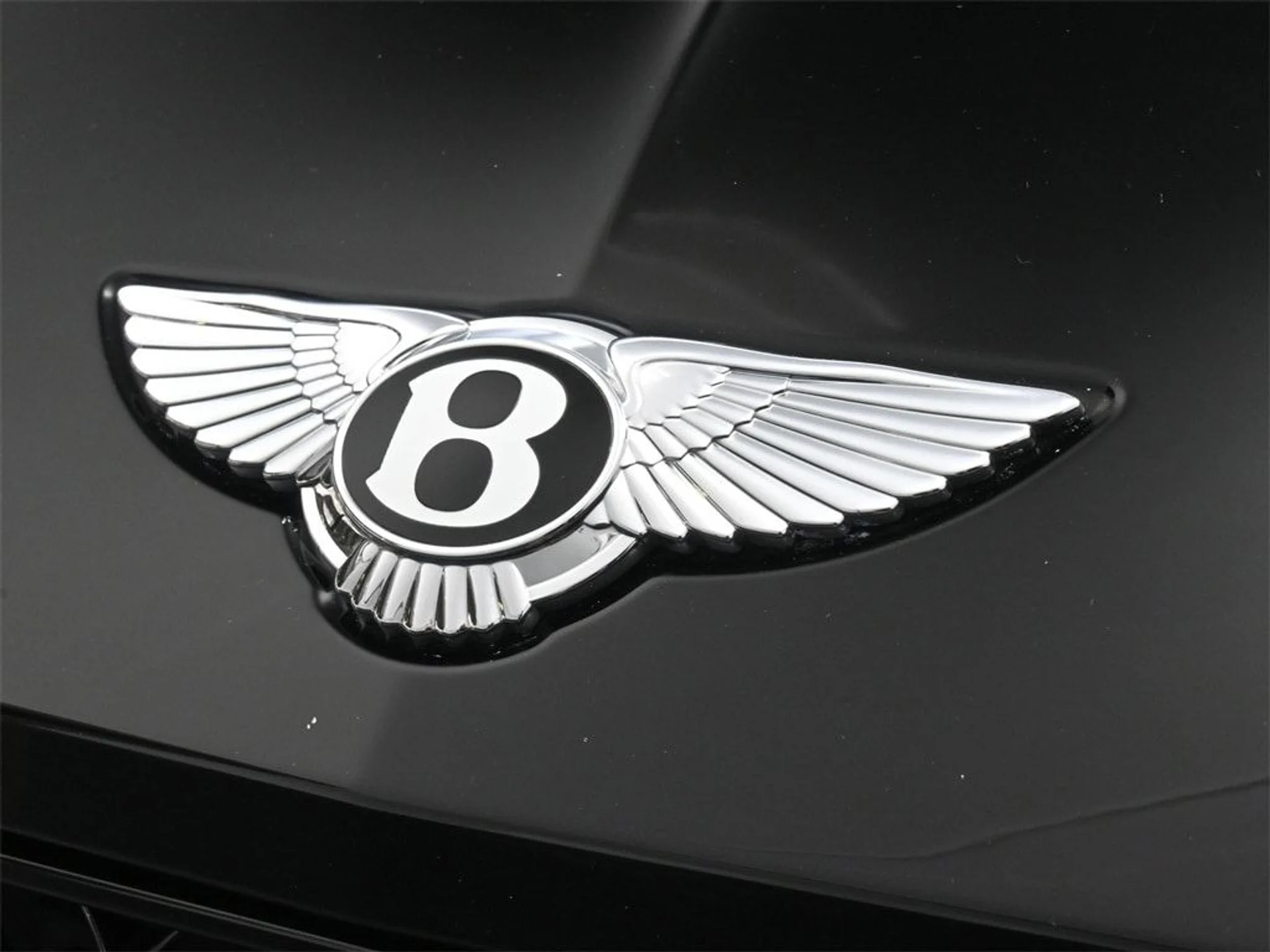 mph018_4246669569_9bded2f1ef62f5cc93a56776c80b04cax_d8199fcc32