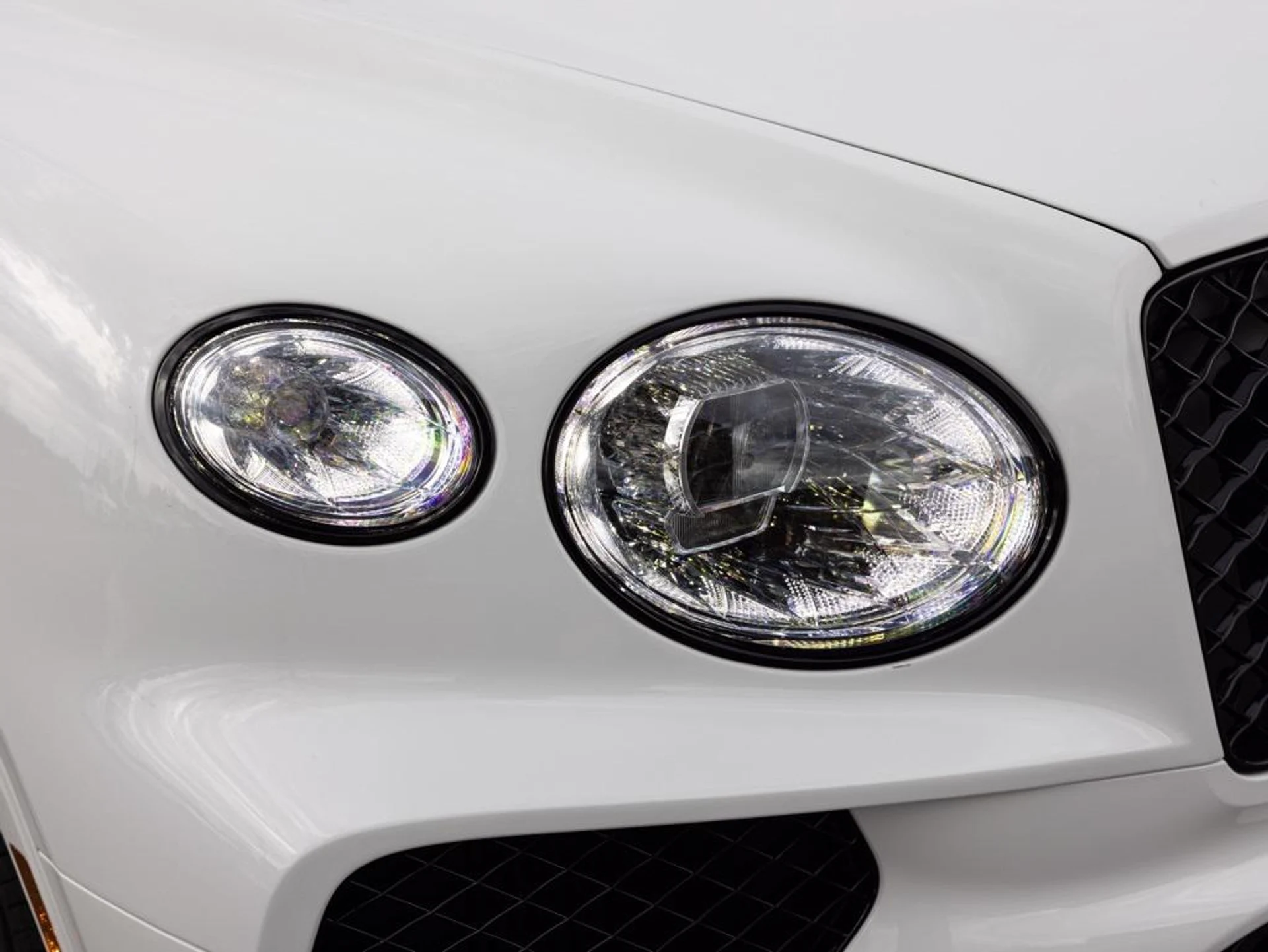 mph018_4265916429_480417655_69442334815a036f0aabfc15_cfd9239dfa