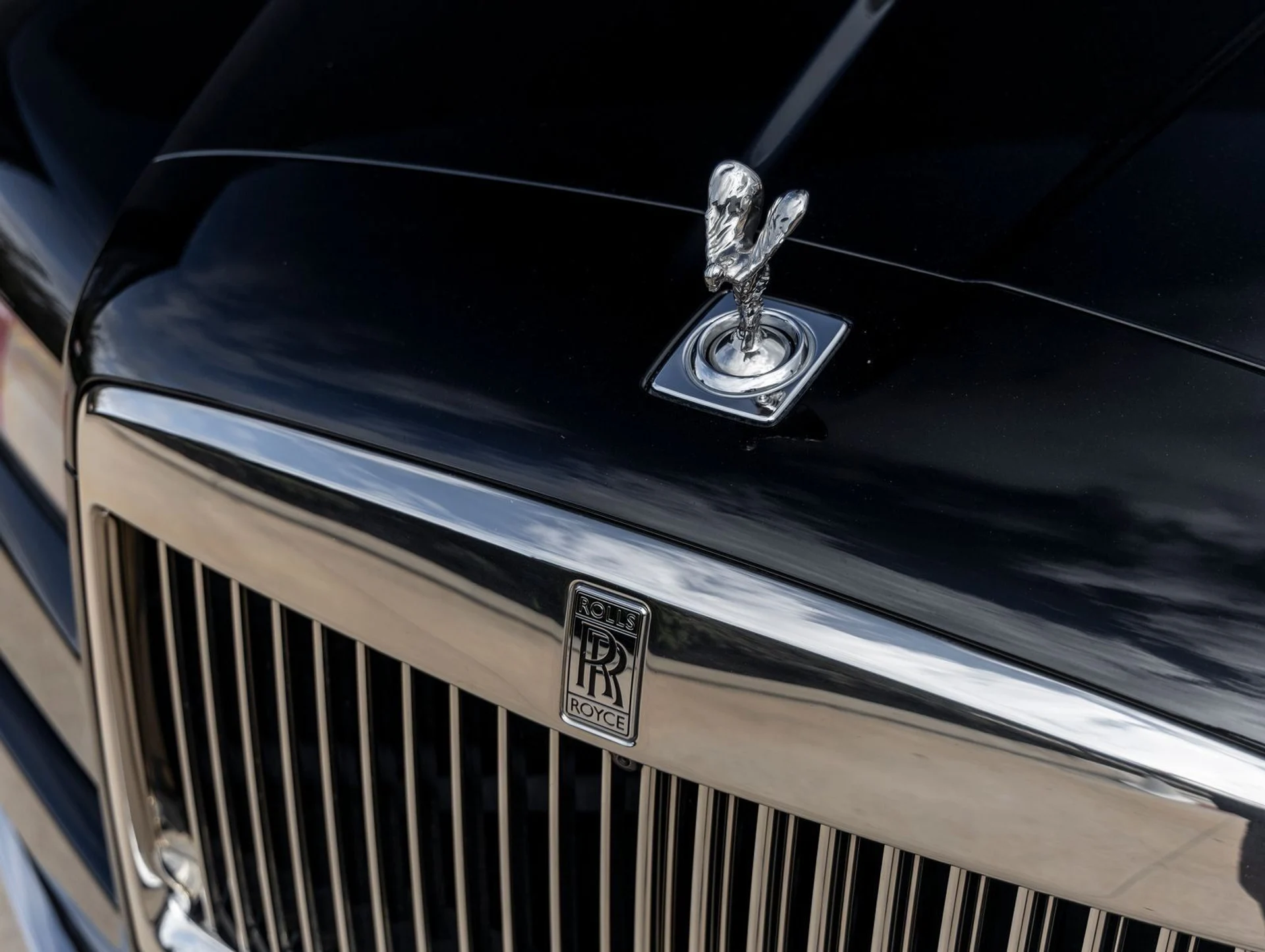 mph018_447378045_19_875e400e40