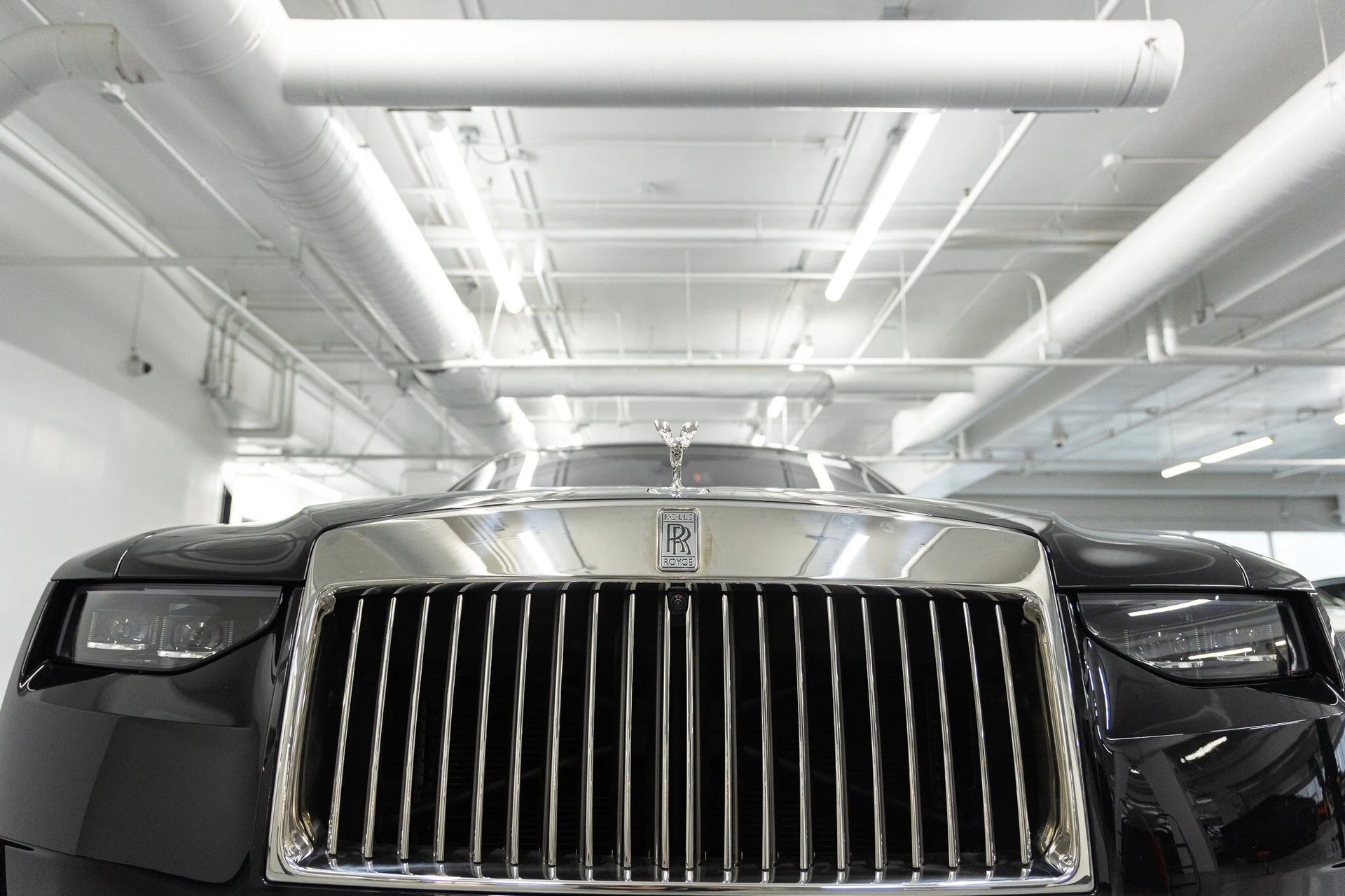 mph018_480692755_9b79f5255bfd68c1c31cb35505464cbdx_52f5058e1c