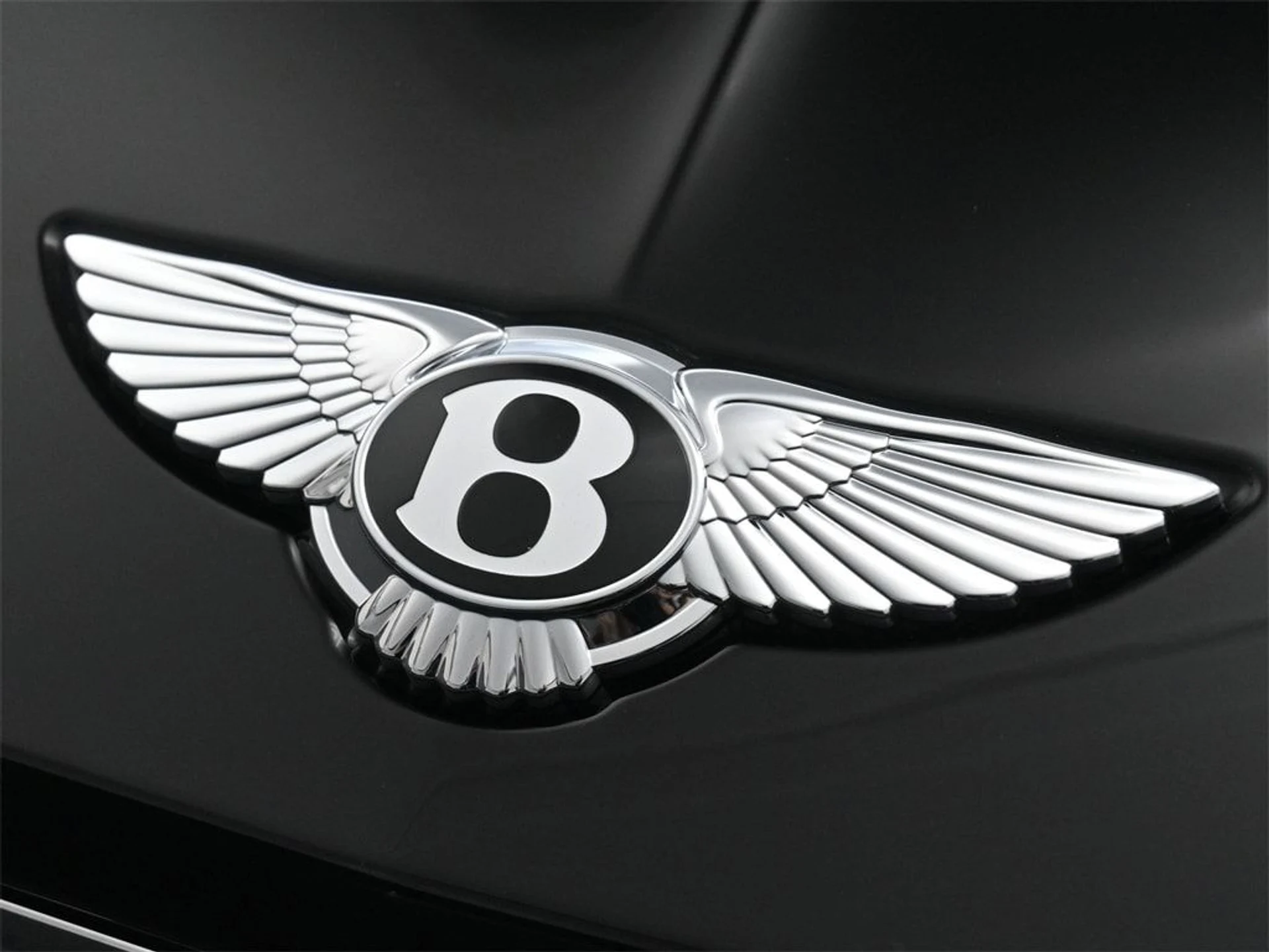 mph018_513502733_b2631a1f1a2a4a6d49a8c231cb8dde41x_5414918bf7